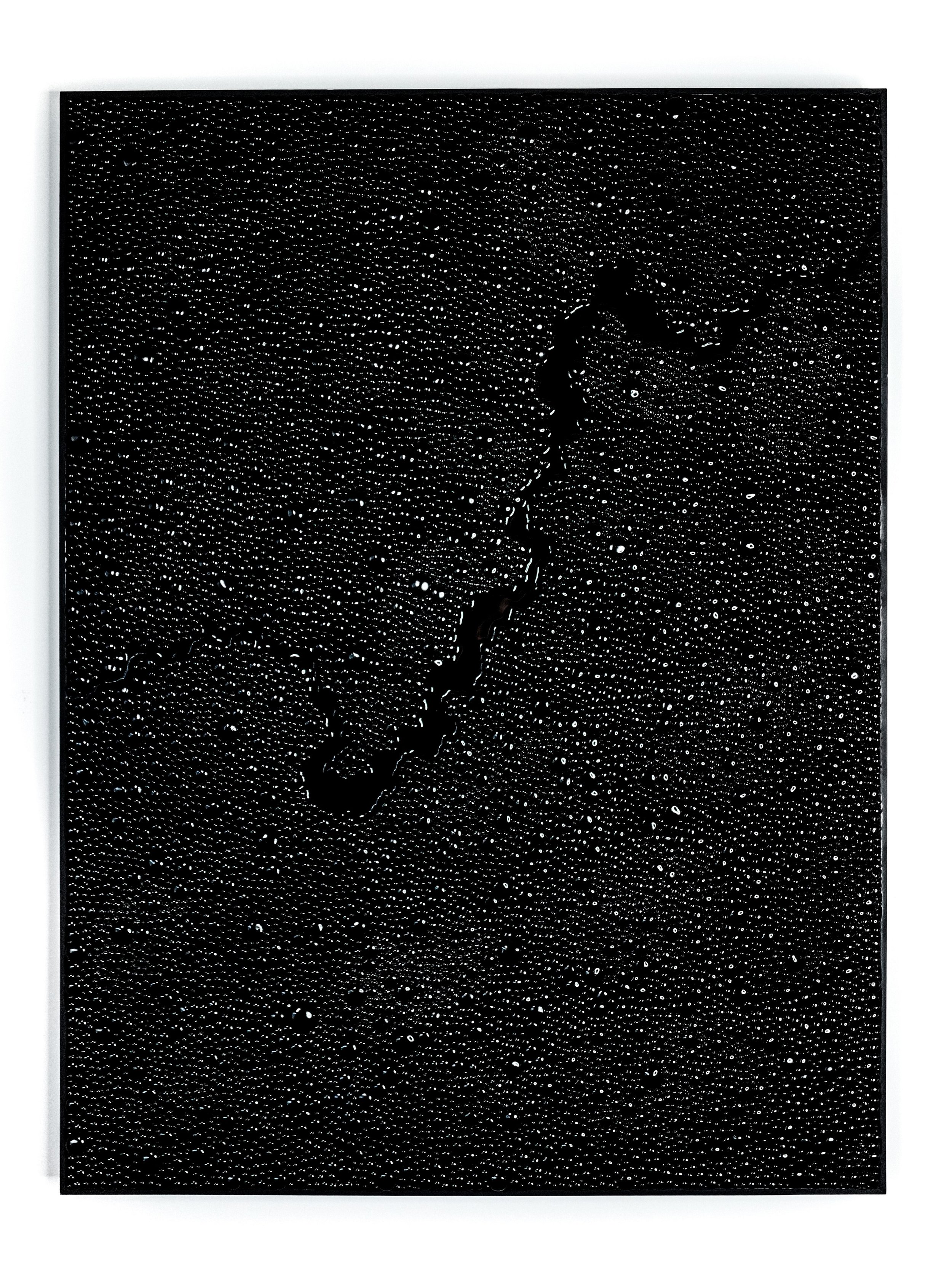 JYAKU_004_Resin and Lacquer_3' x 4'_2019.jpg
