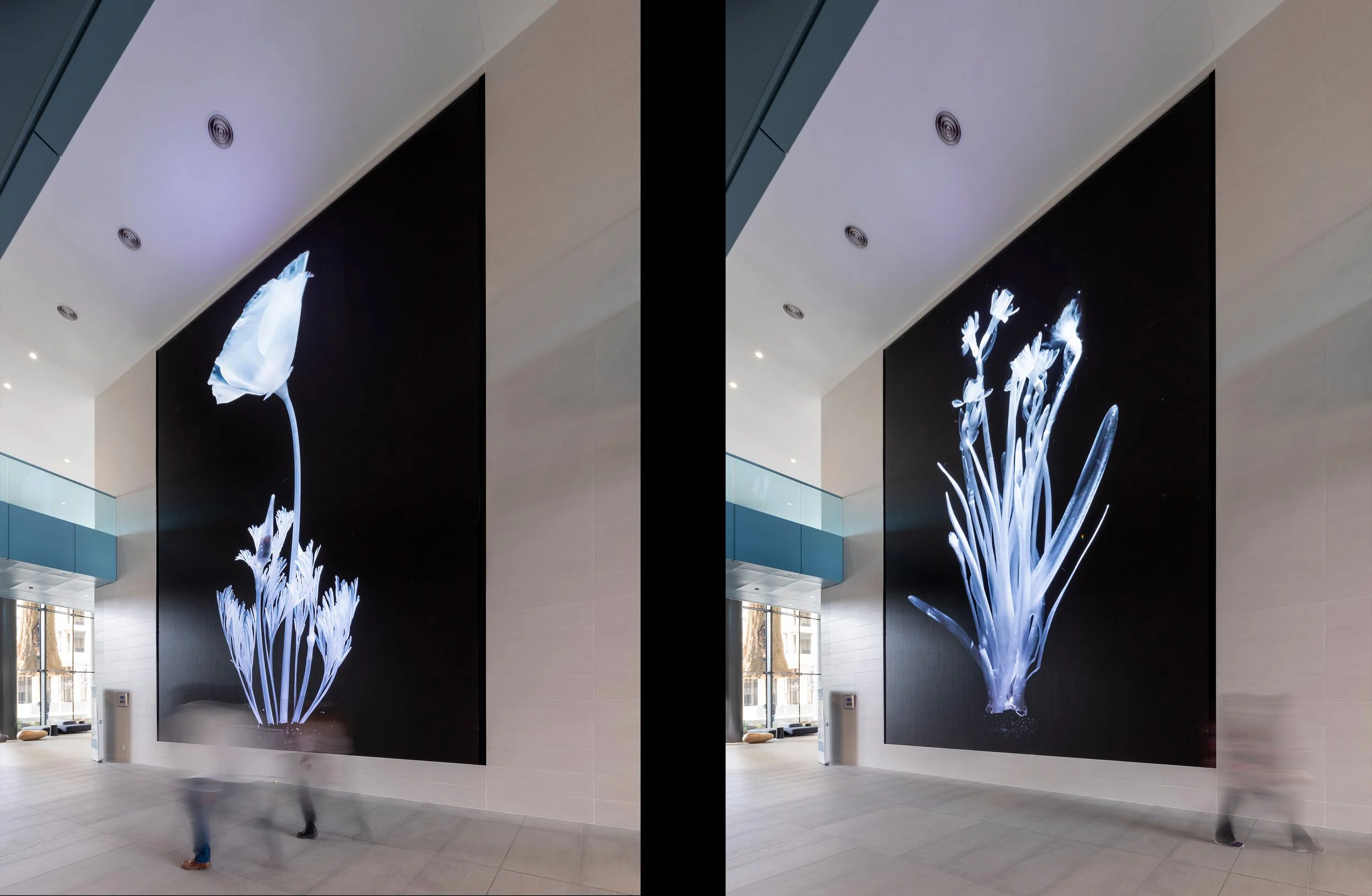 Natural Resources Headquarters