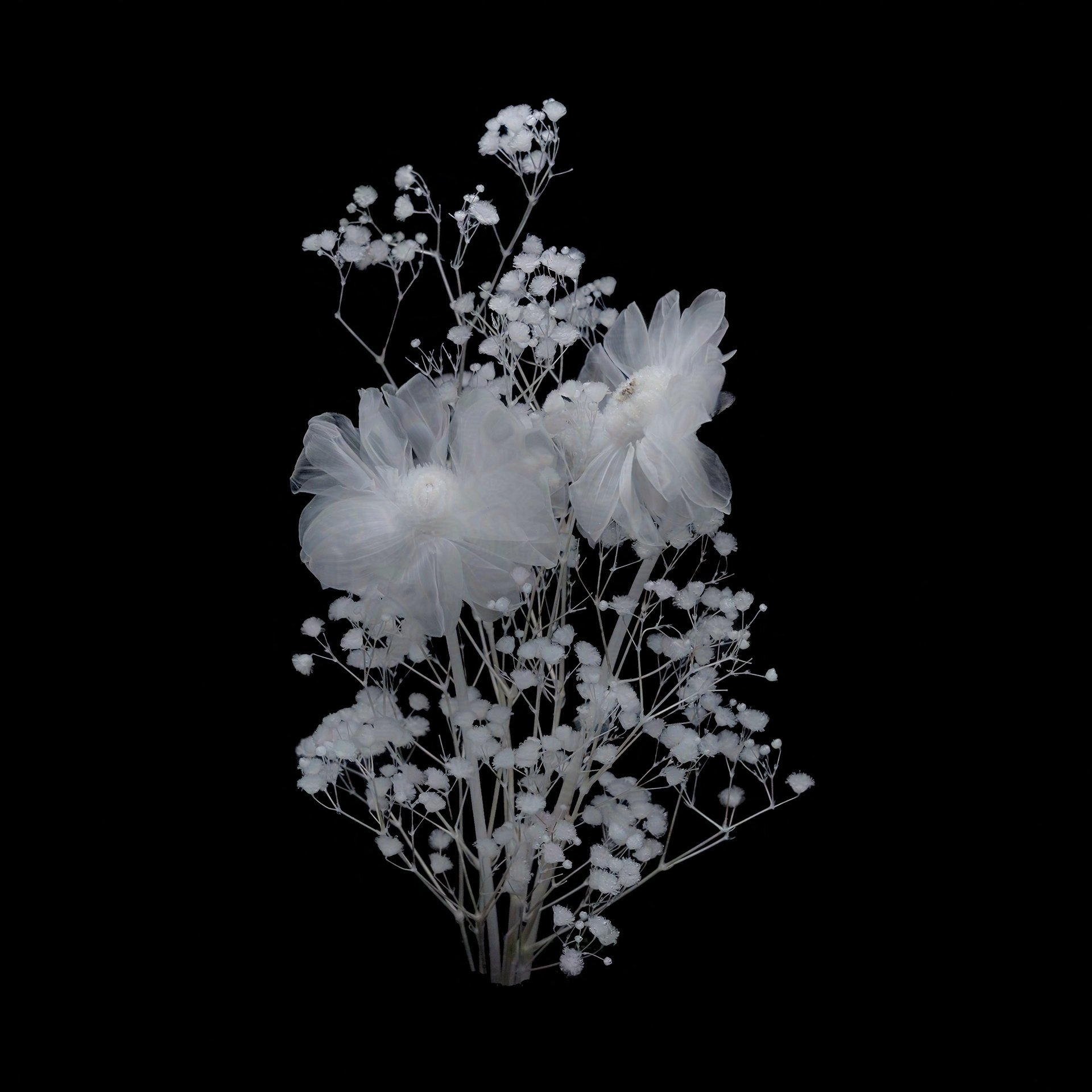 Mignon Bouquet