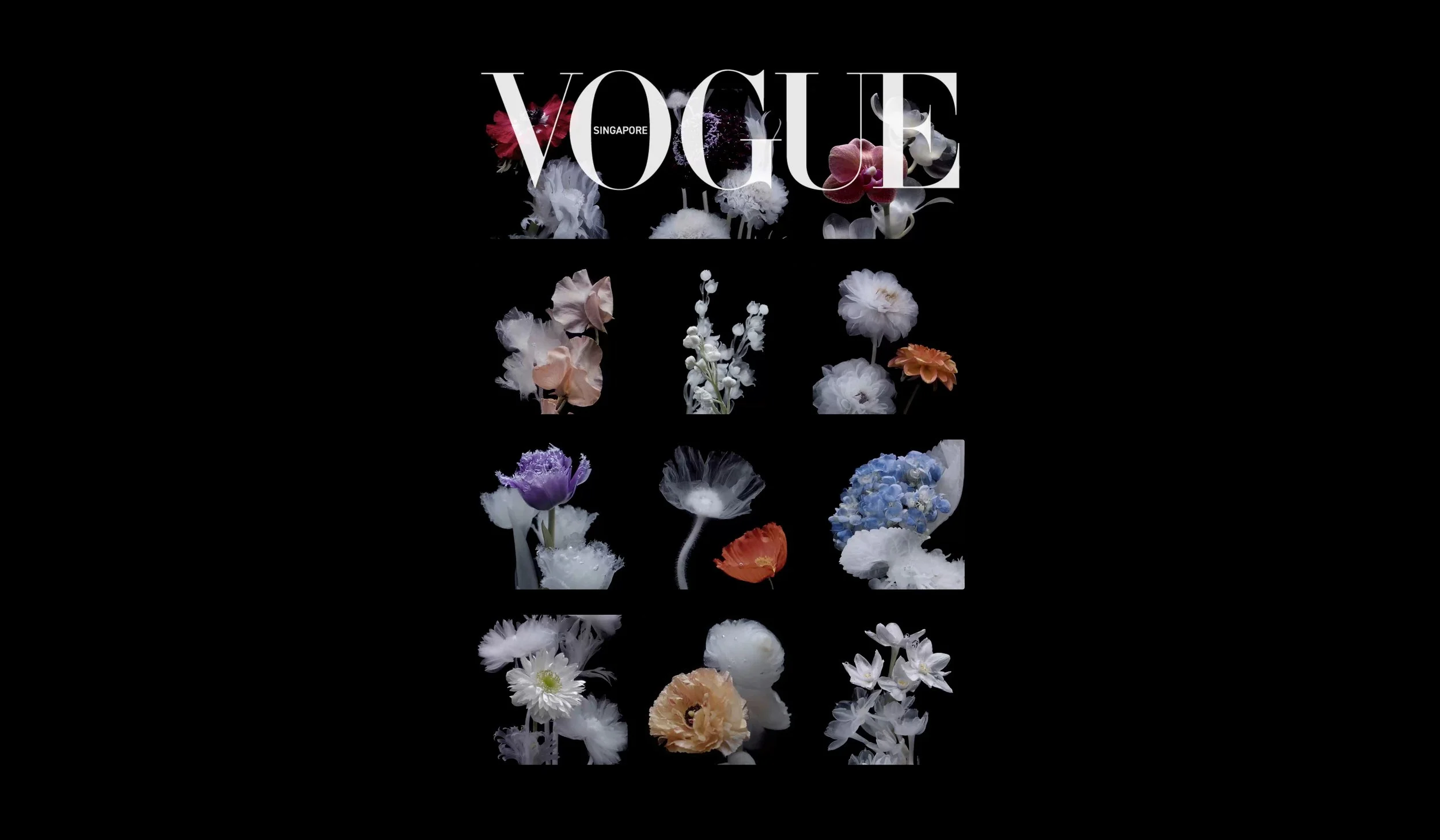 12 Months of Afterlife