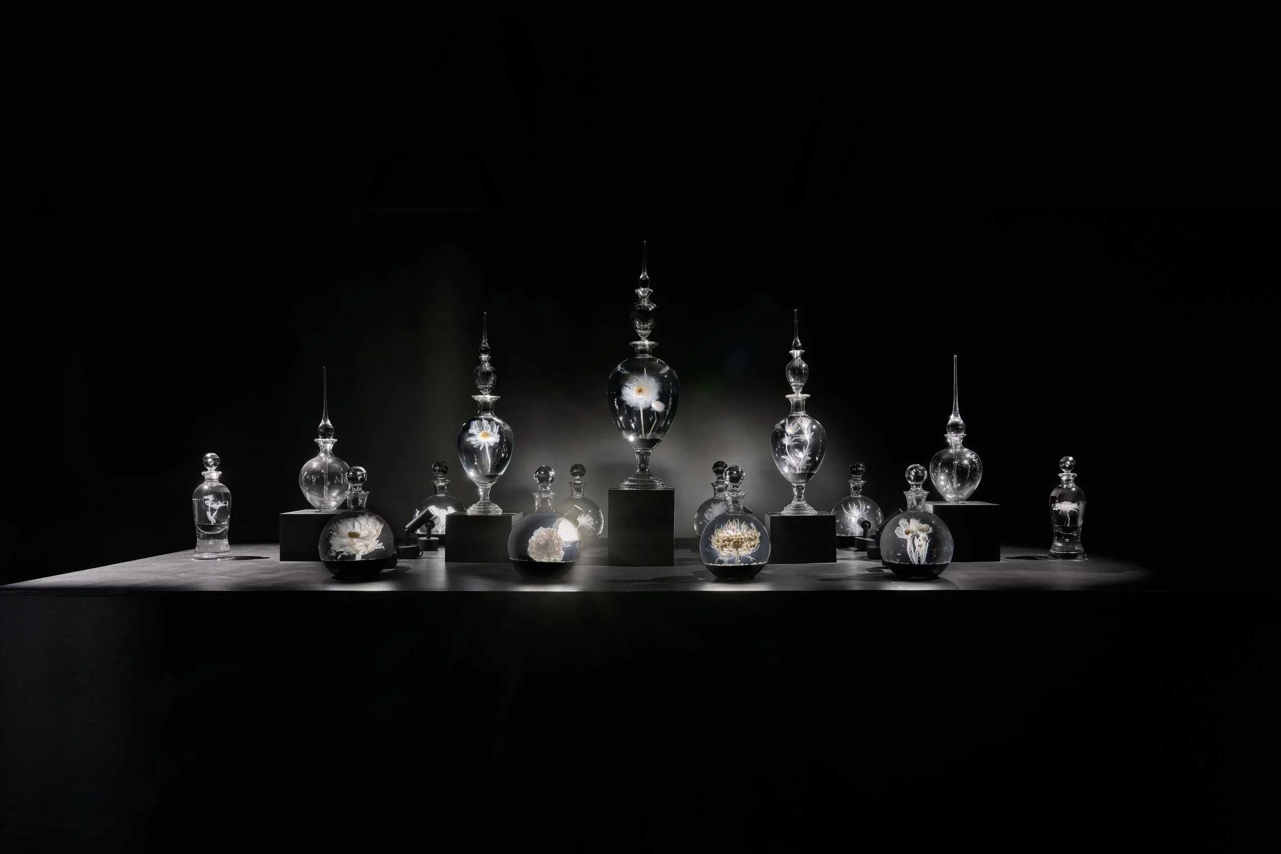 Distilled Essence_cover.jpg