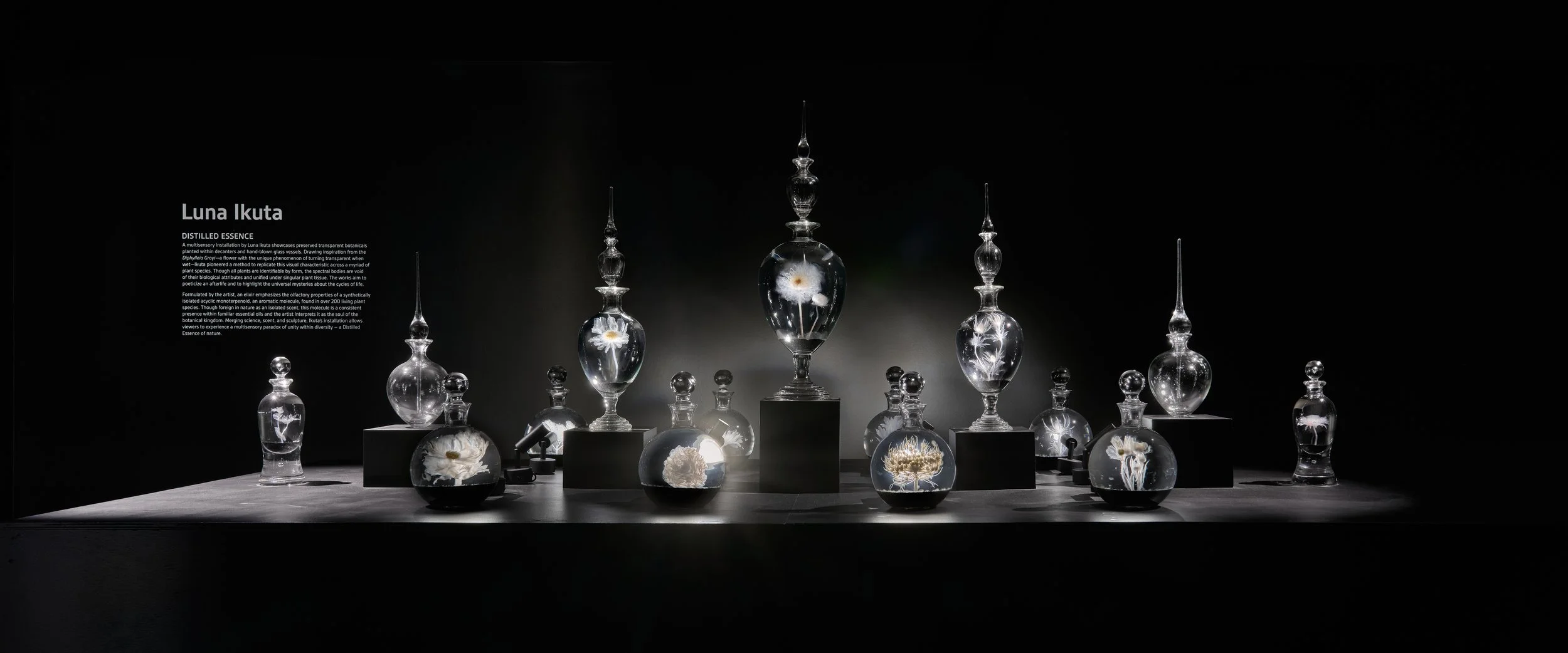 Distilled Essence_main.jpg