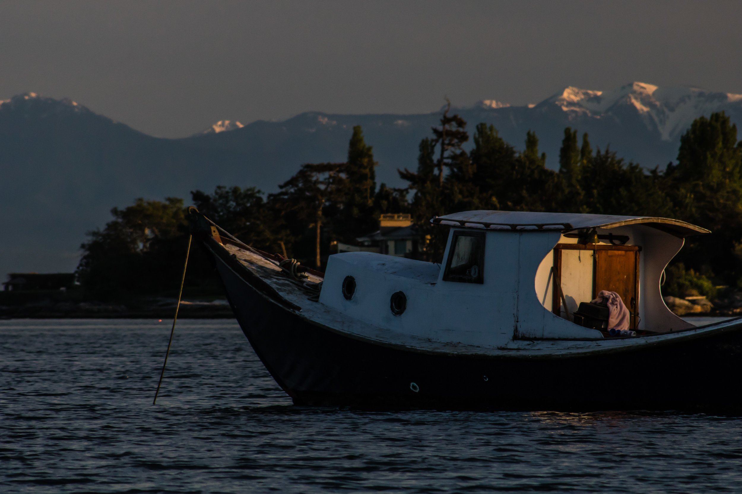 The boat