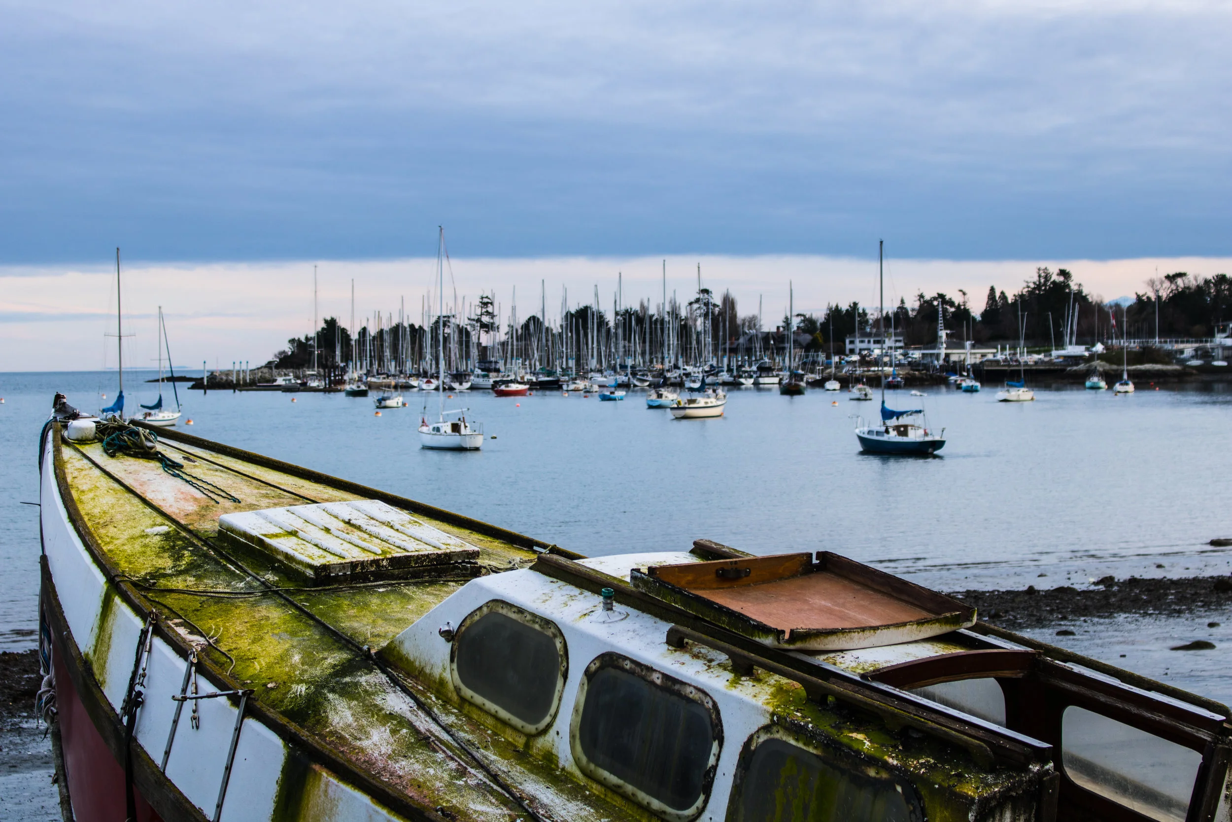 The dead boat