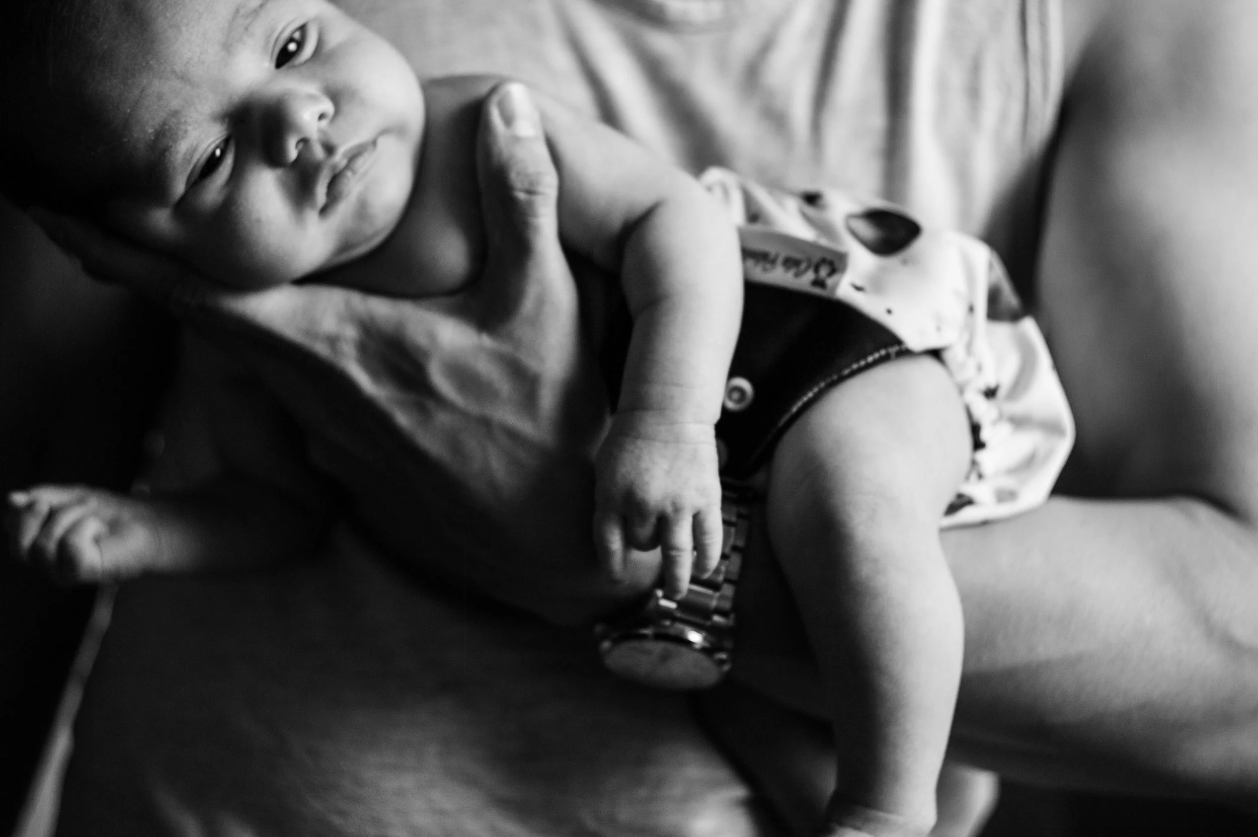 L1141847.jpg