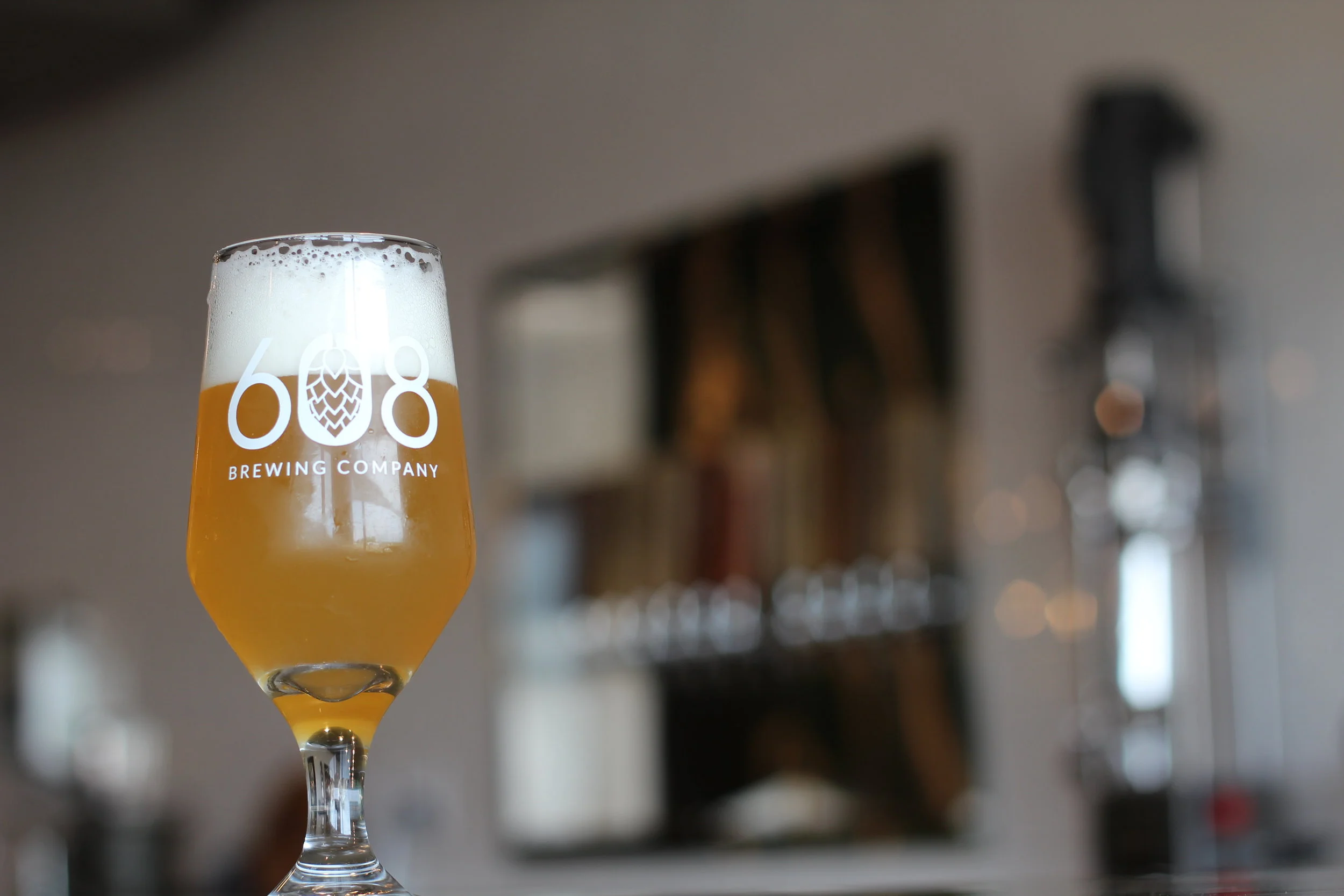 608 Brewing Company Craft Brewery & Taproom in La Crosse, WI