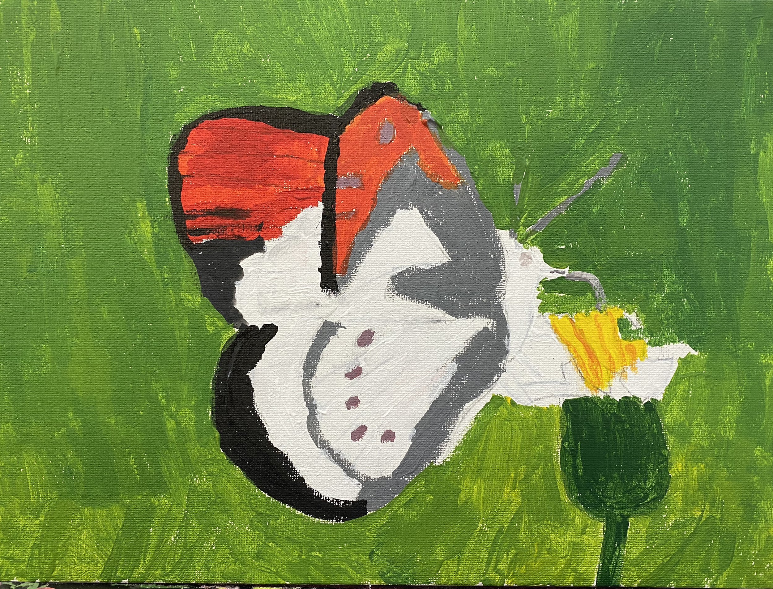 adrienne butterfly.png