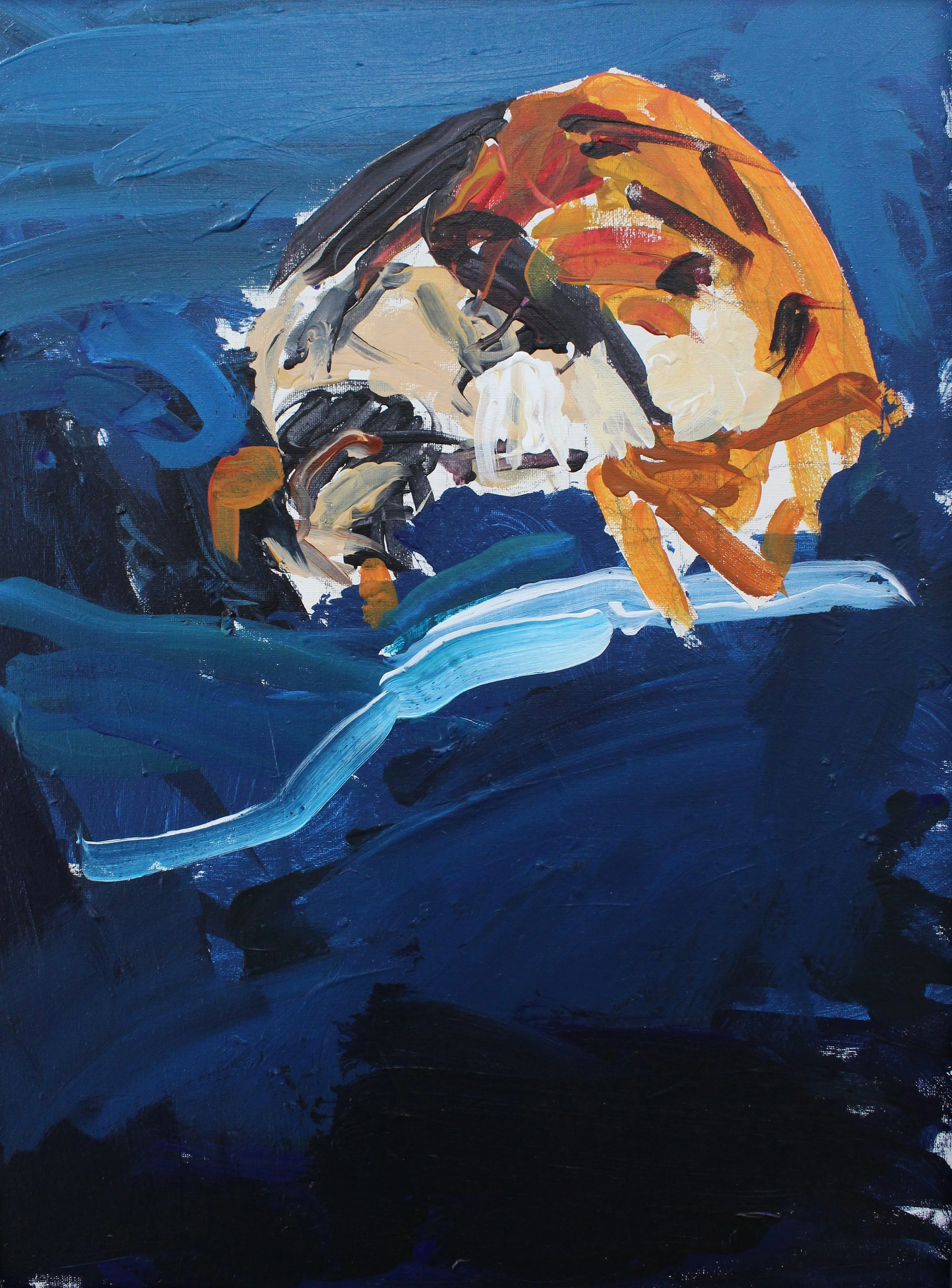 Diana Mallett Ladybug.jpg