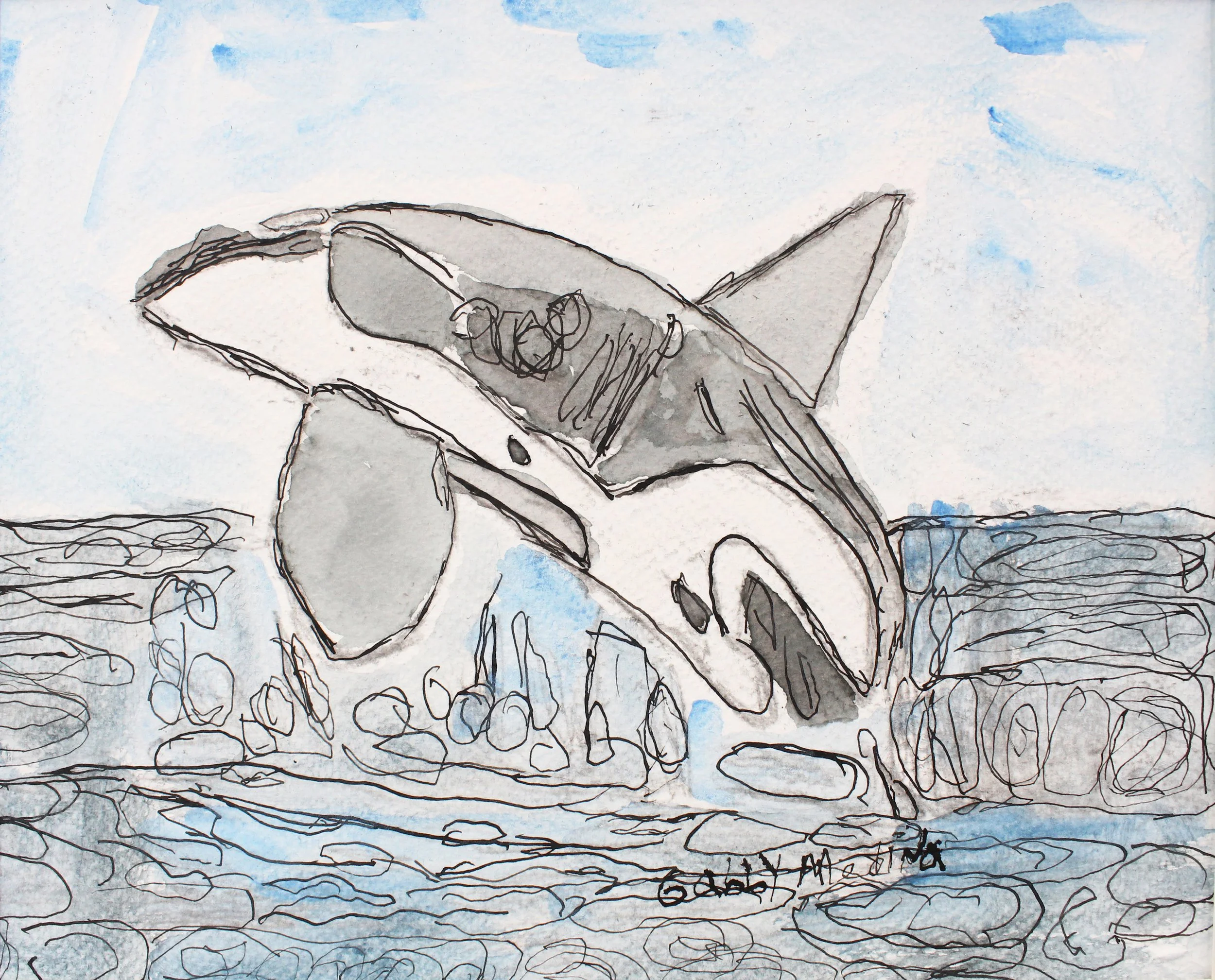 Killer Whale Gabby Medina.jpg