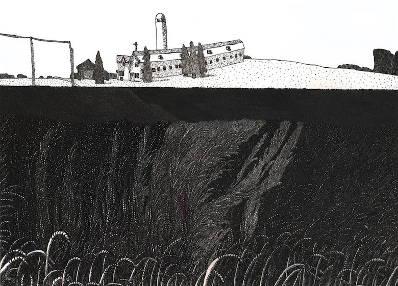 Zach Mabert, wheat field and farm, 11.9.2018.JPG