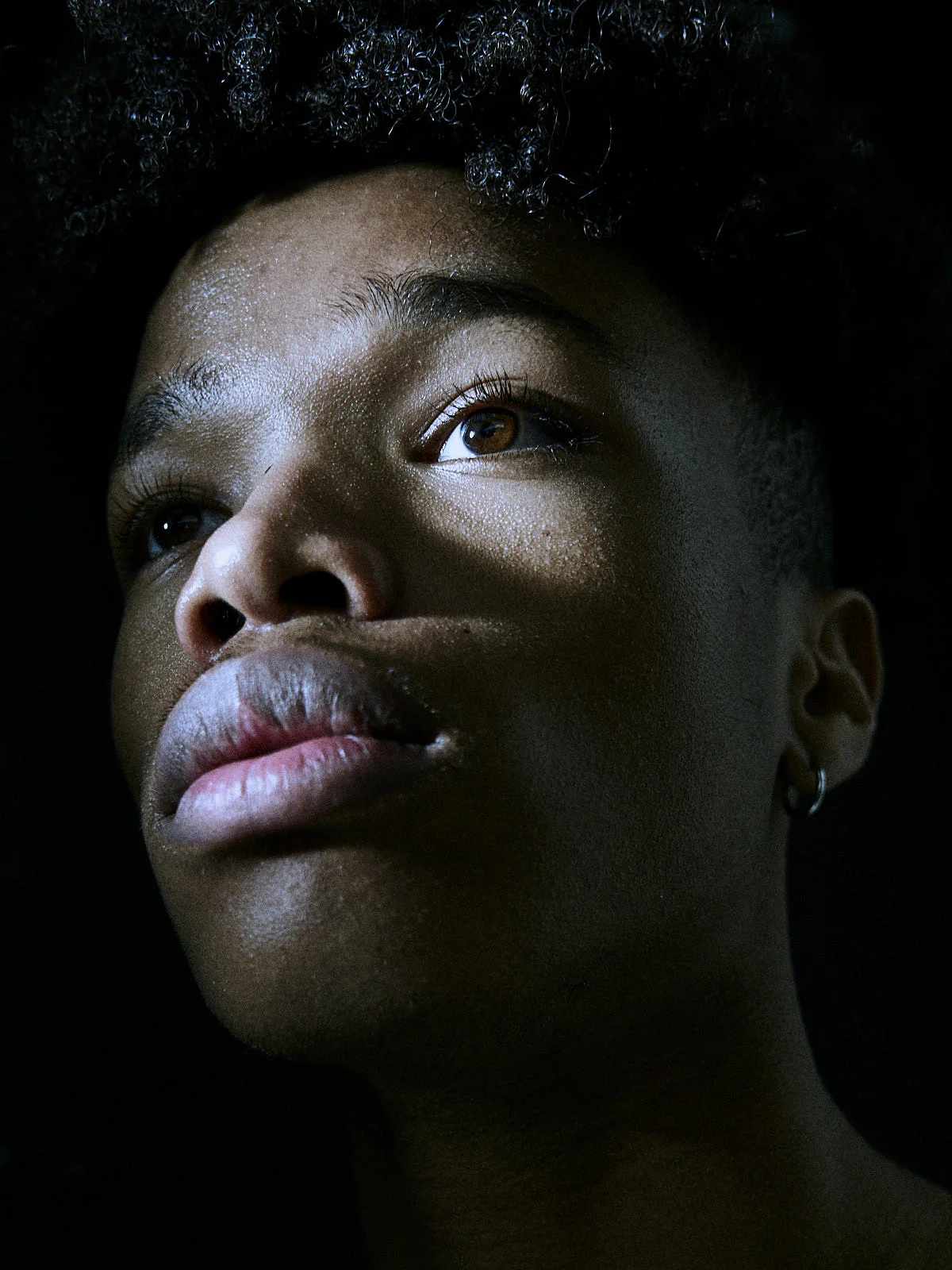 Noah_by_benLERCH 10.jpg