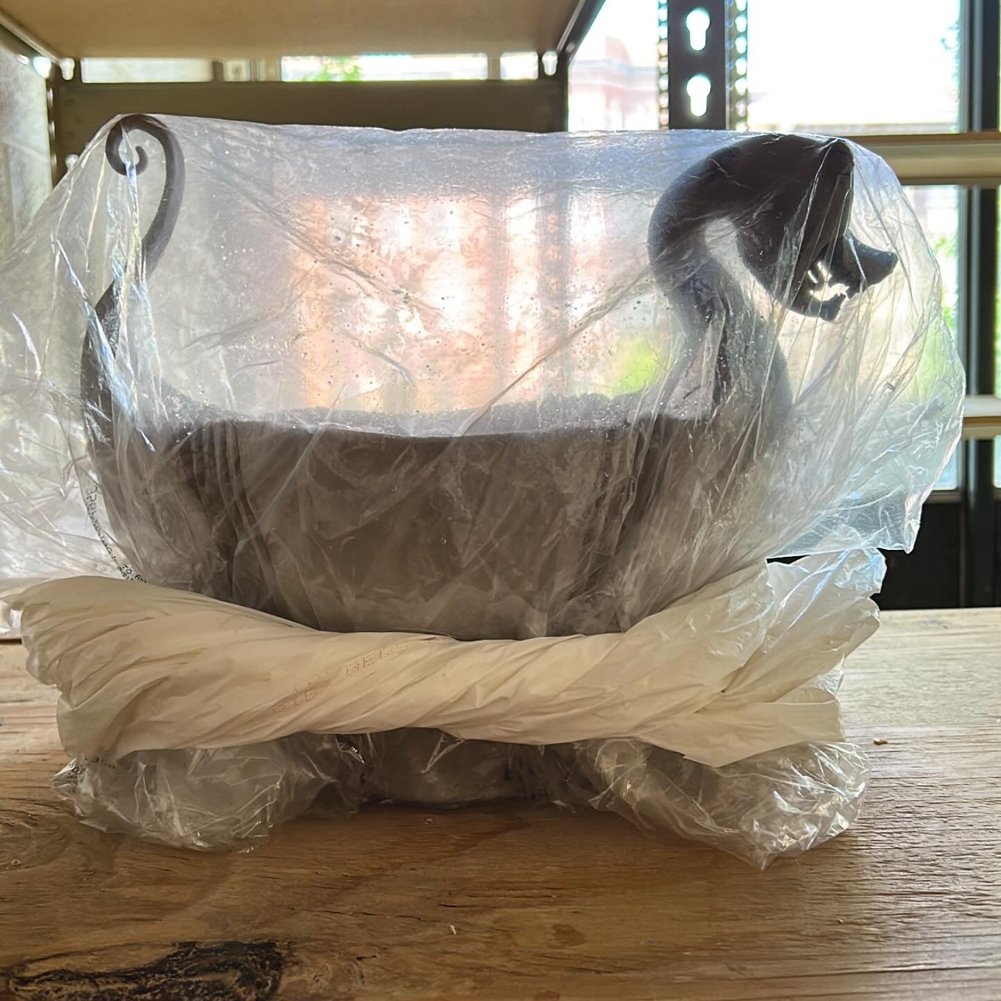 Slow-drying in the studio.
.
.
.
.
.
#pots #pottery #ceramics #ceramic #clay #ceramica #ceramique #c&eacute;ramique #keramik #keramika #keramic #studiopottery #craft #contemporarycraft #functionalpottery #handmade #studioartist #studio #artist #handm