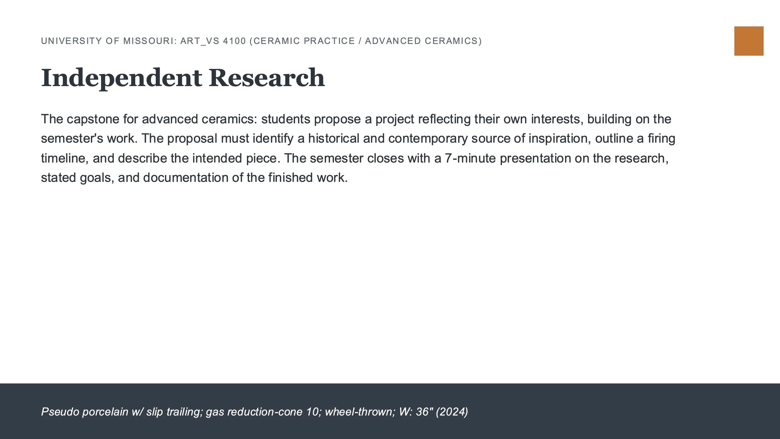 APSU_Student_Portfolio_Description_Slides.jpg