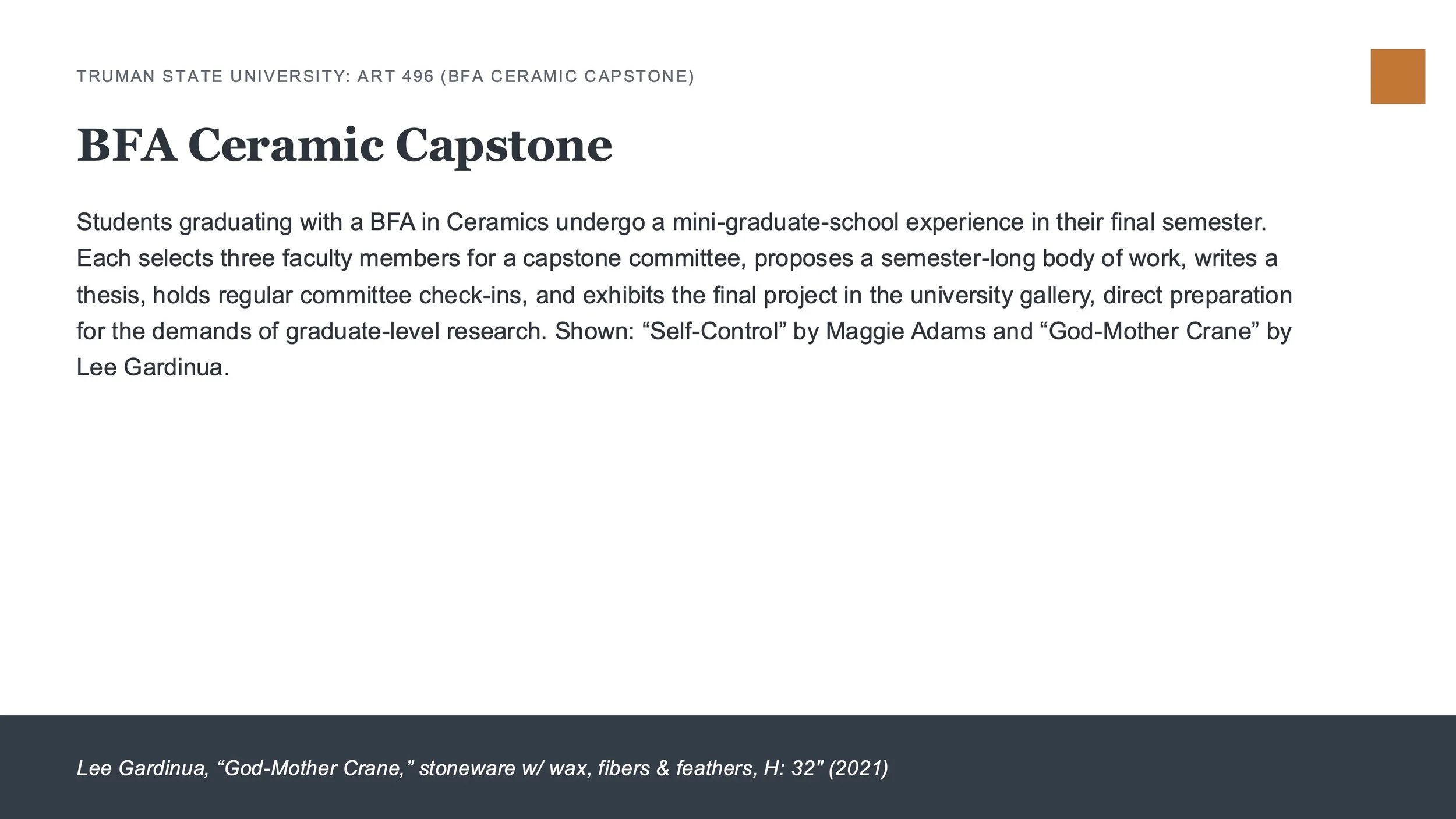 APSU_Student_Portfolio_Description_Slides.jpg