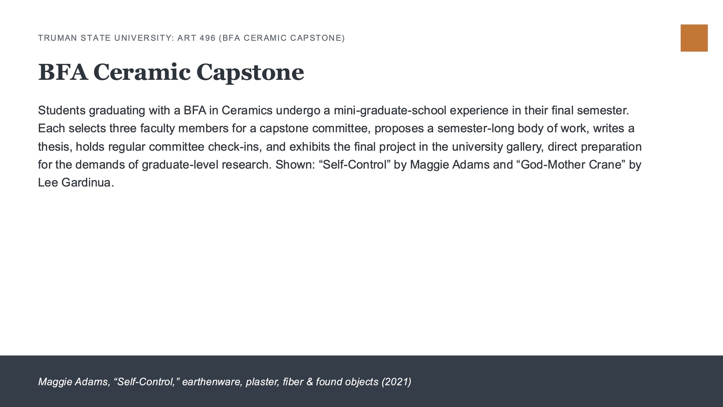 APSU_Student_Portfolio_Description_Slides.jpg