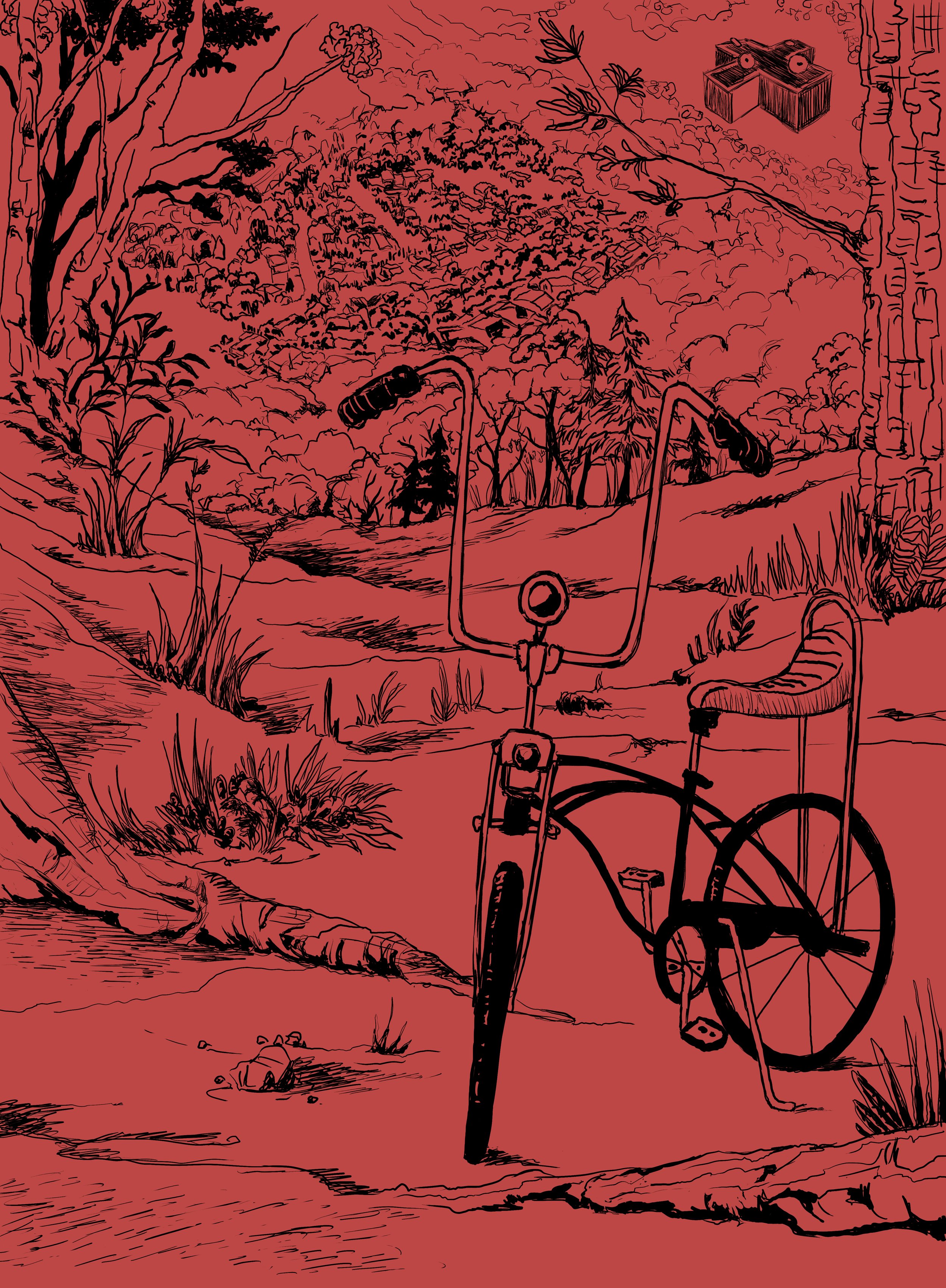 demagorgan_hawkins_mike's bike 2.jpg