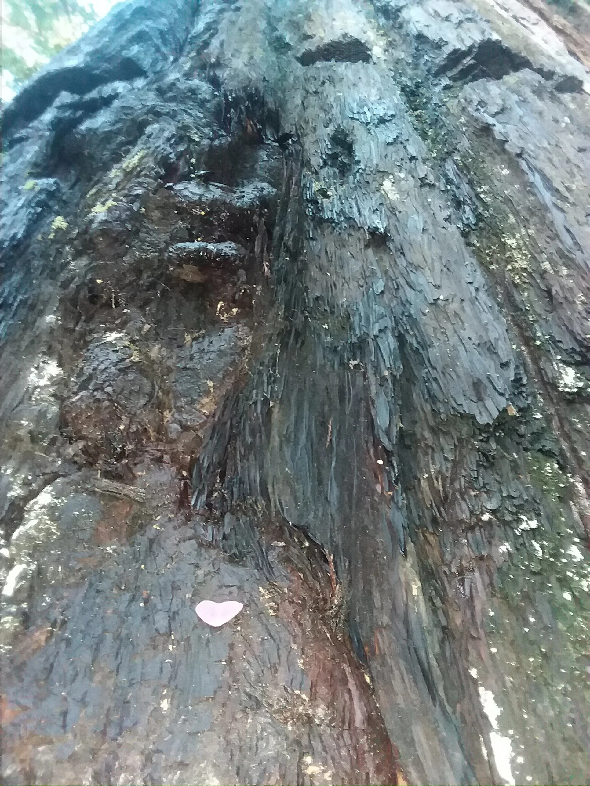 20180120_150953.jpg