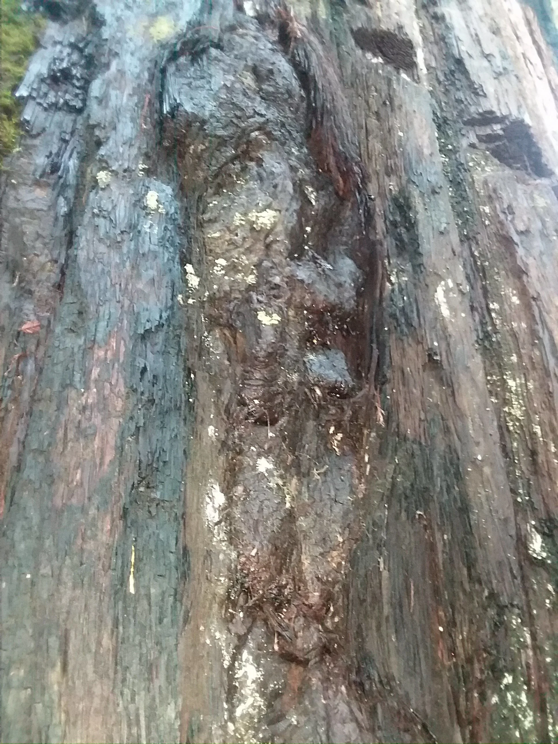 20180120_151027.jpg