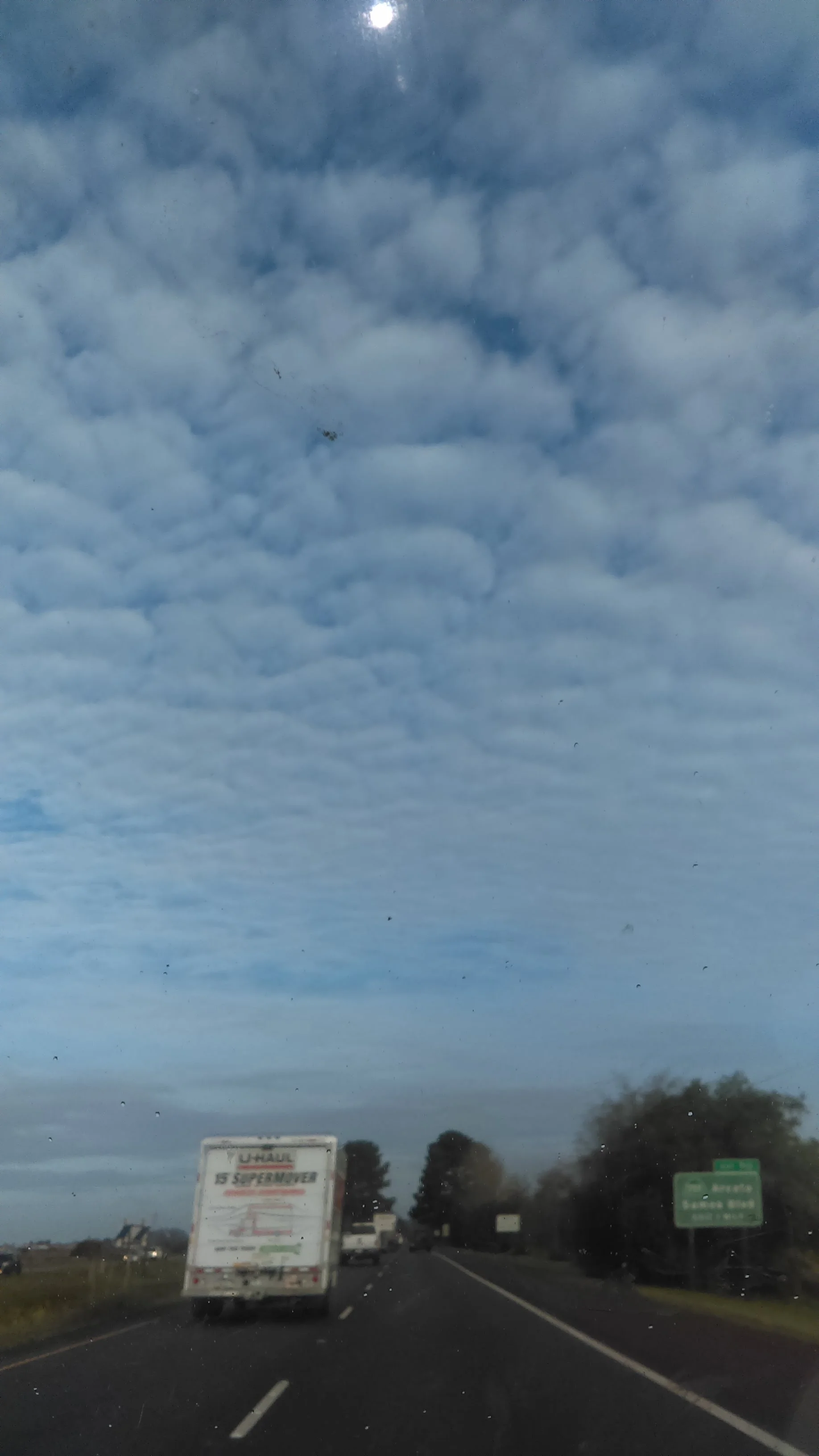 IMAG0020.jpg