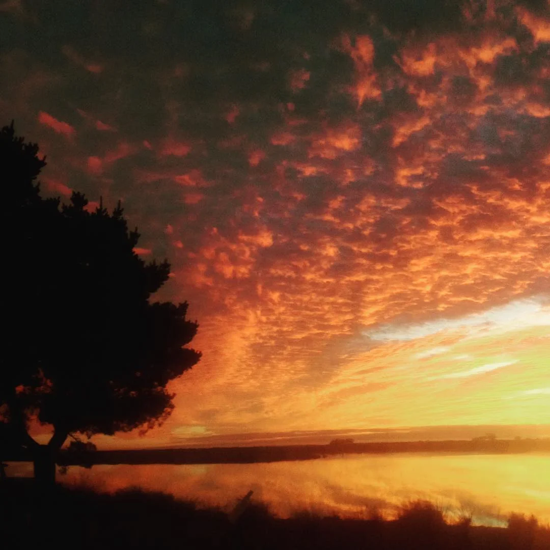 sunset.jpg
