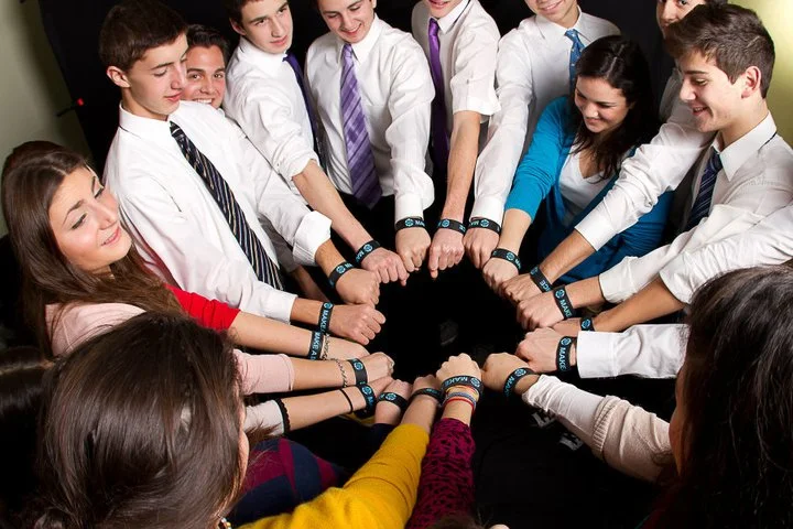 vol circle.jpg
