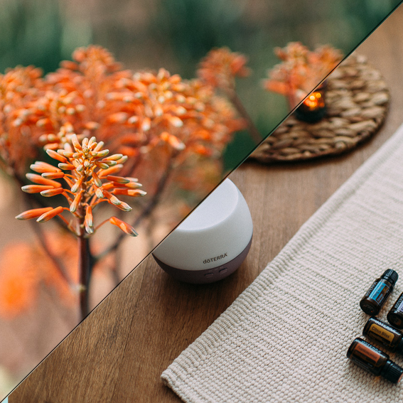 YIN YOGA // AROMA YOGA INFO