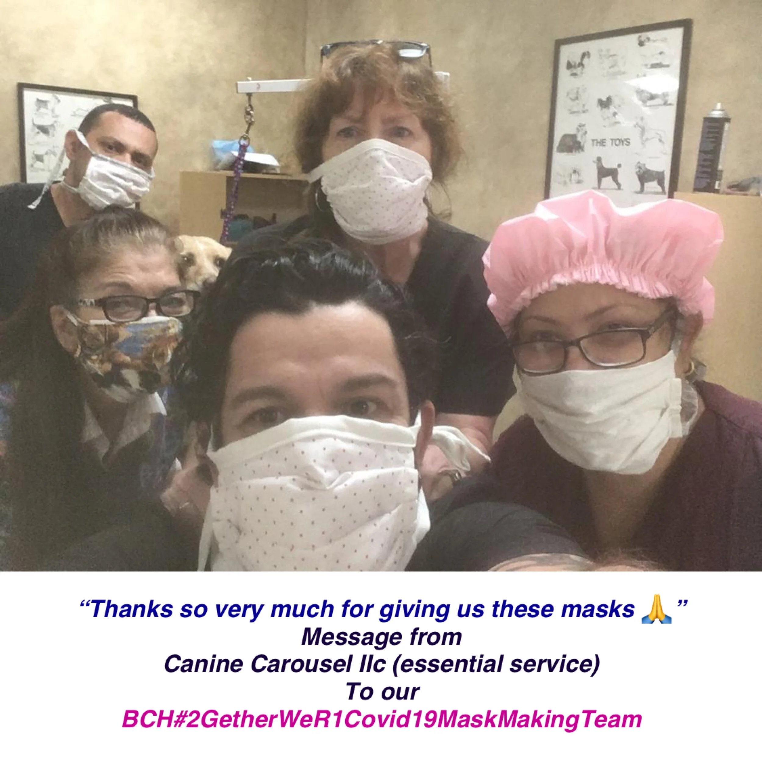 Testimonial from Canine Carousel IIc