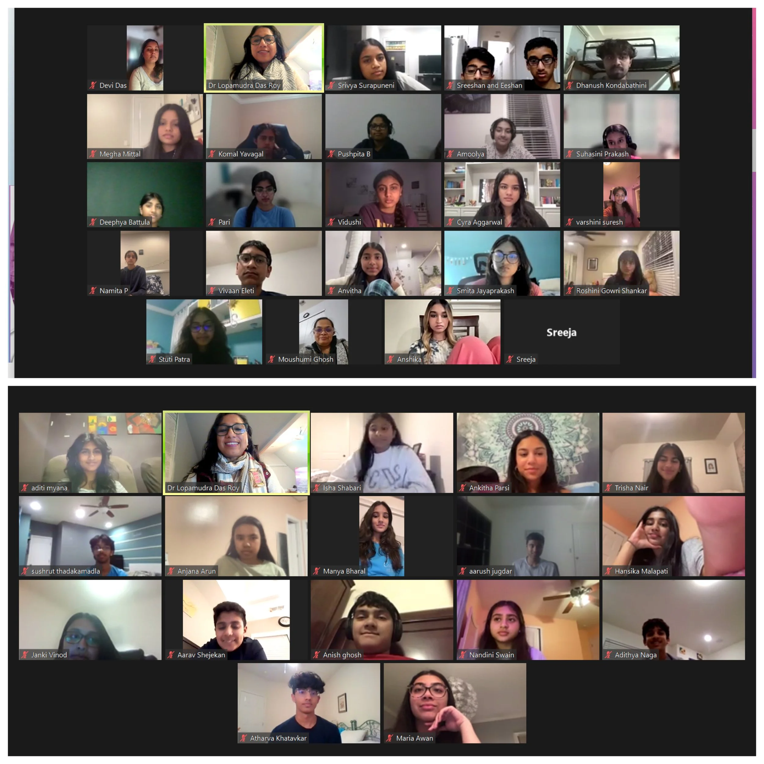 BCH Youth Mentorship Ambassador Program - 2024