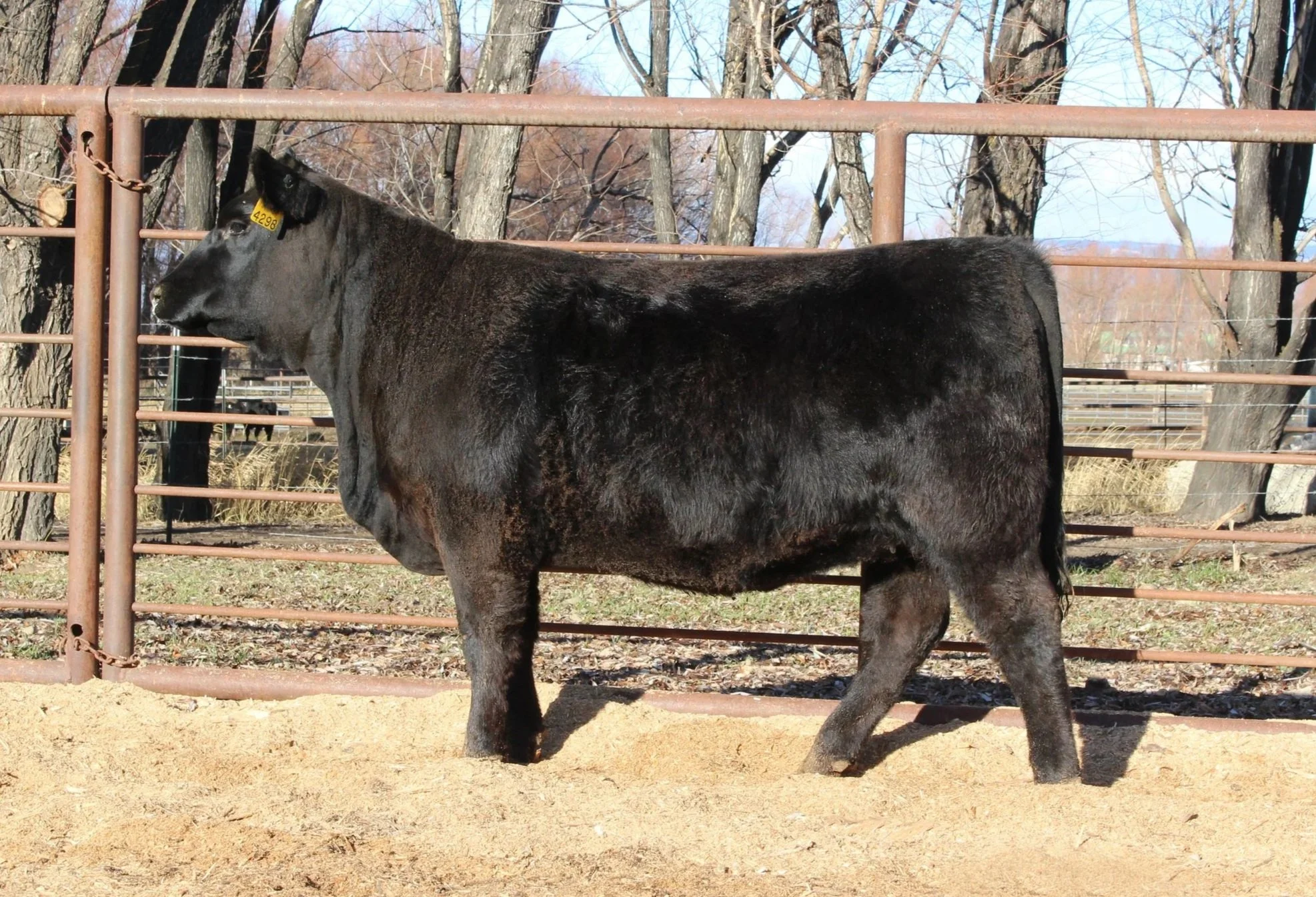 TFS Erica 4105 4298M