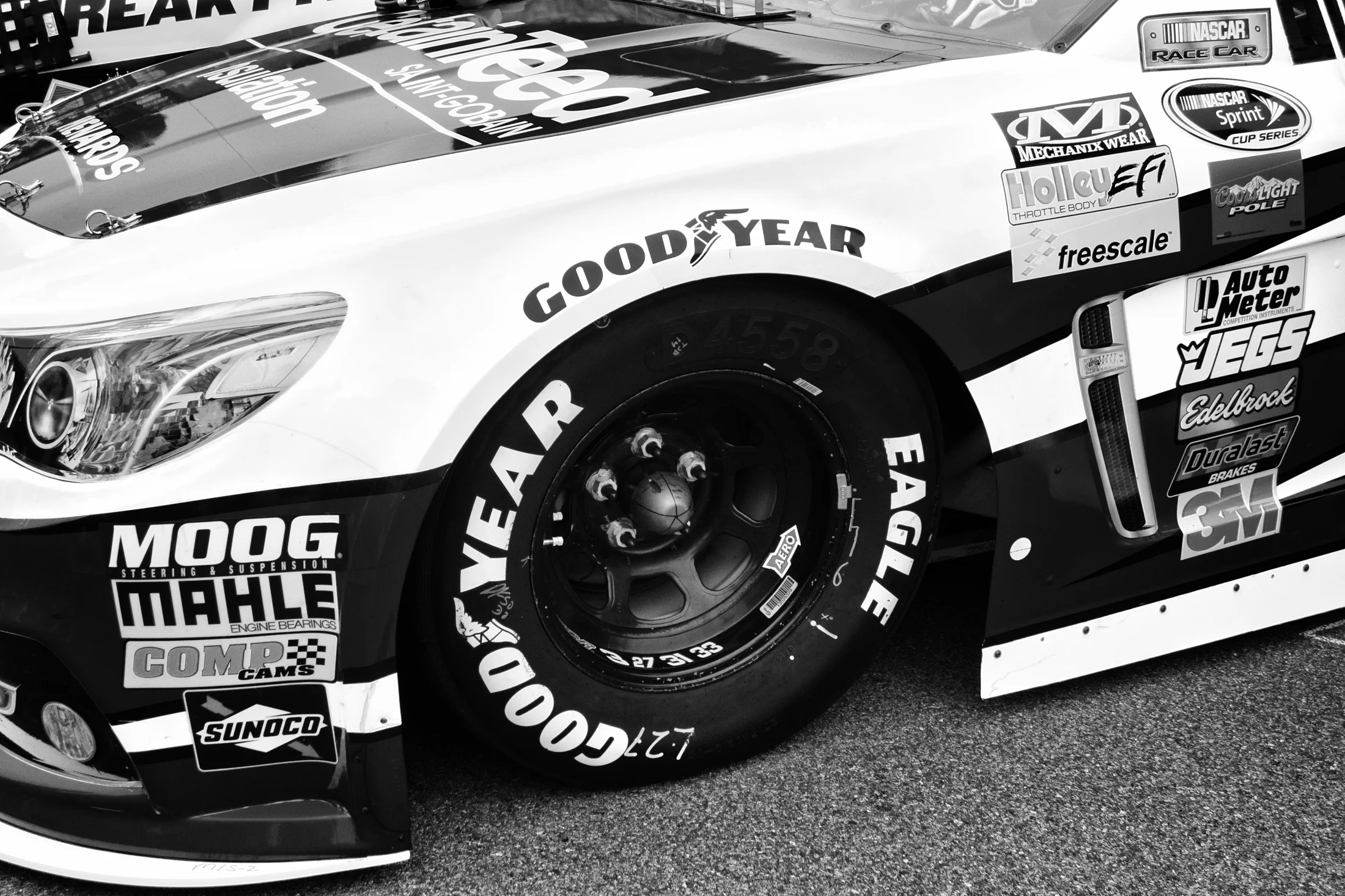 IMG_2605-Edit_Email_LARGE.jpg