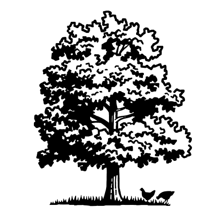 tree2.png