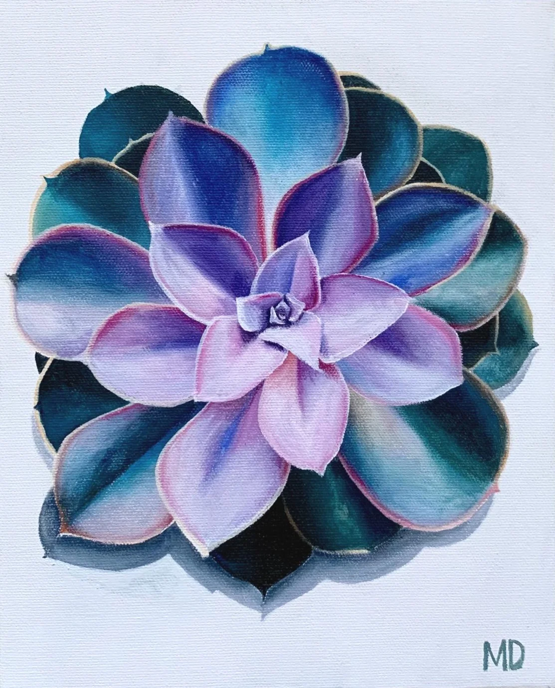 Succulent in Turquoise