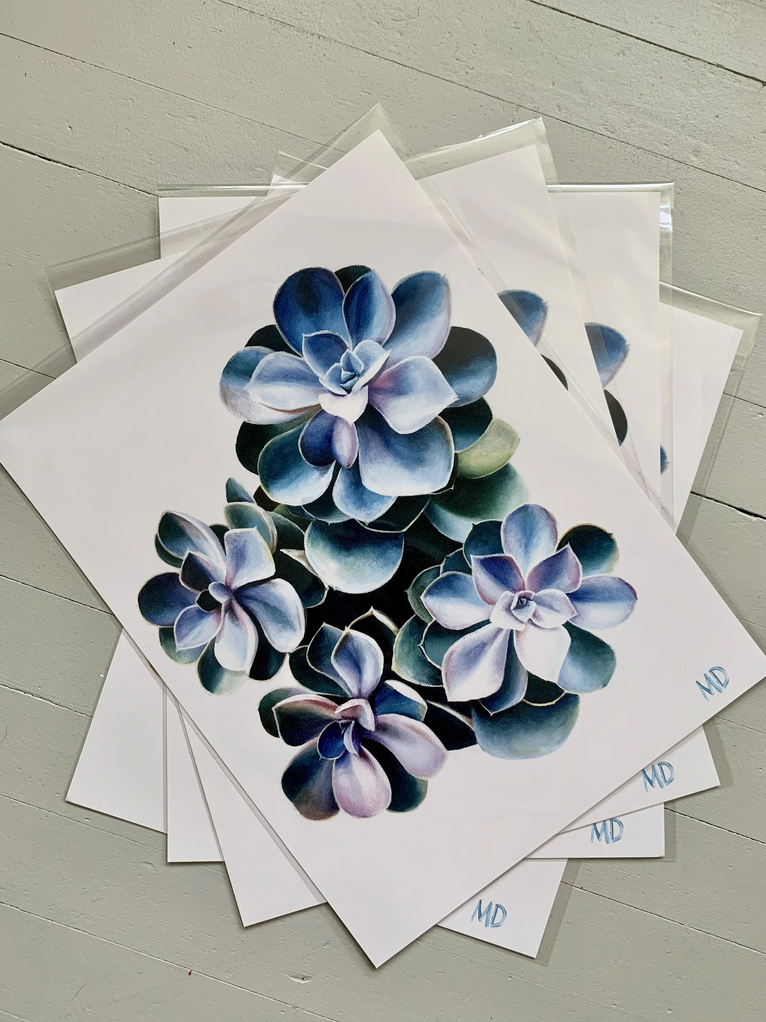 Succulents Giclee Prints