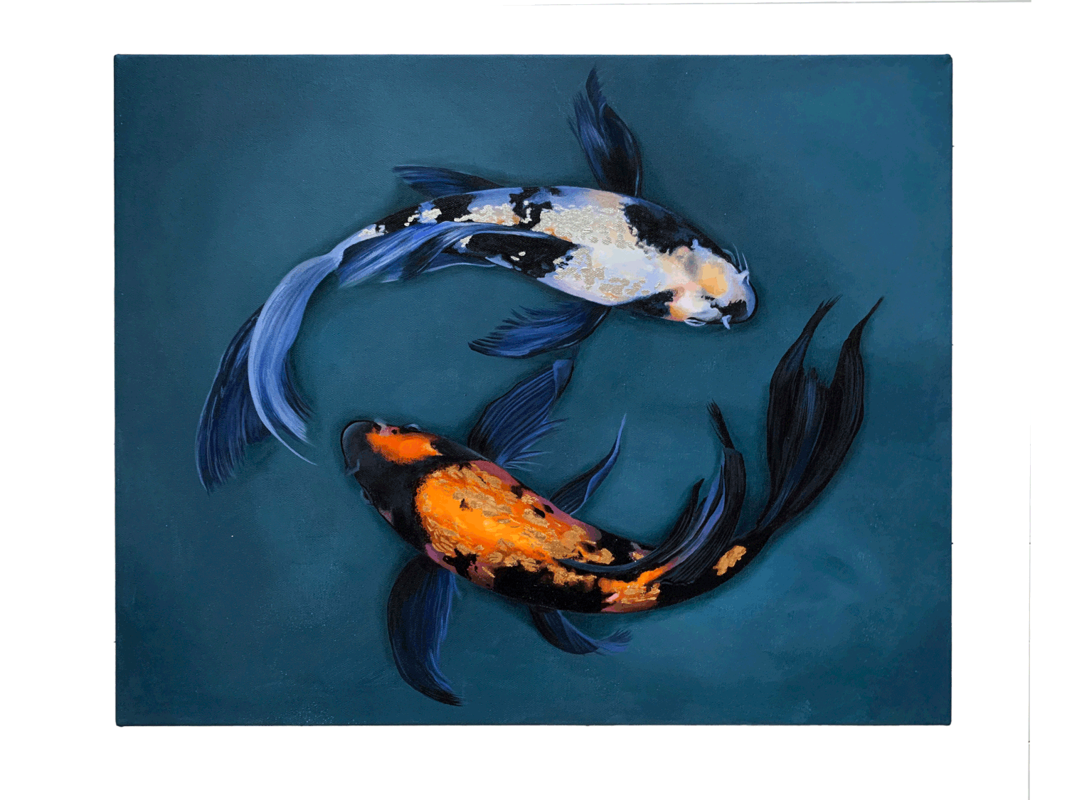 Blue Butterfly Koi