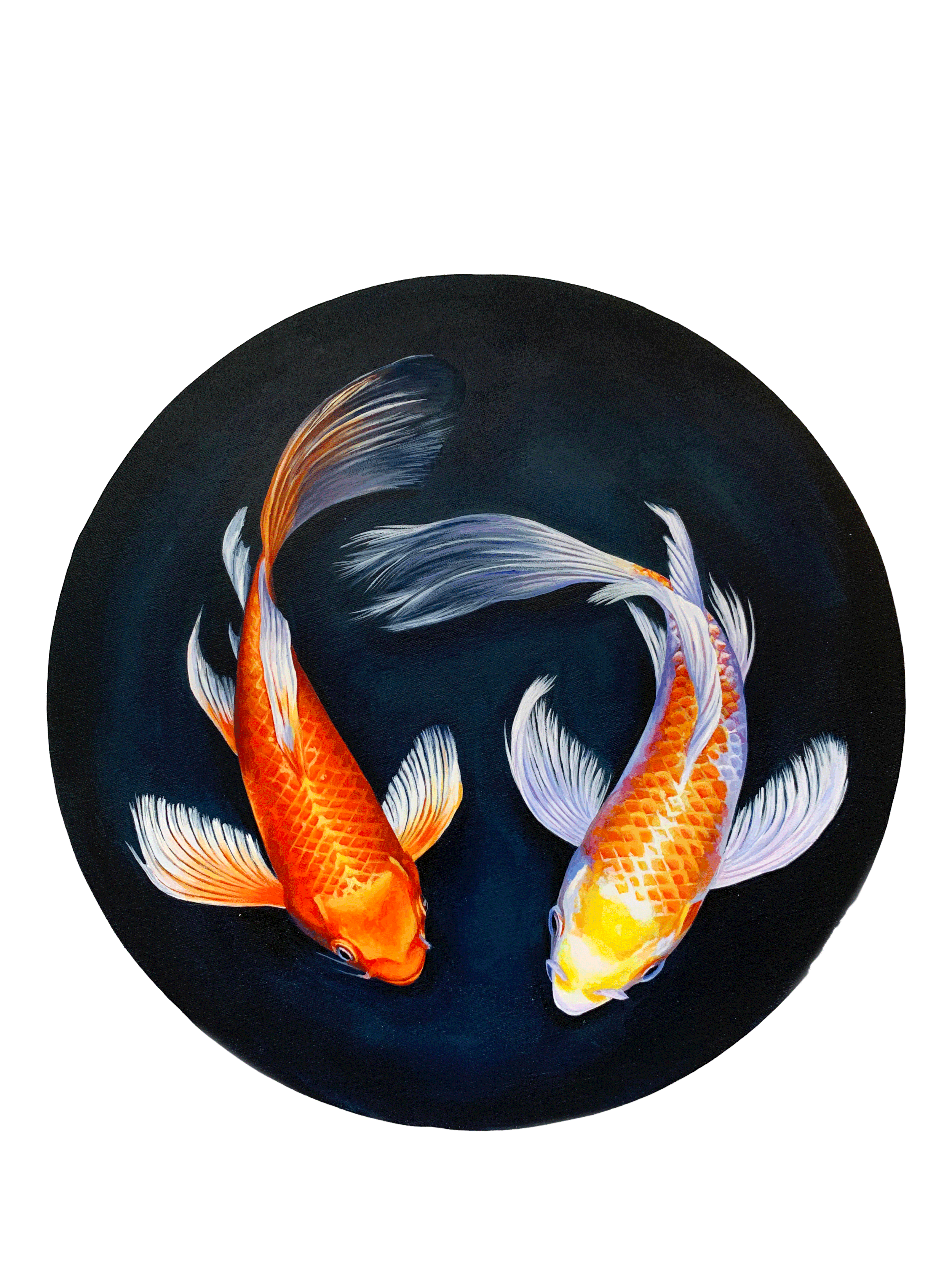 Koi-Pair.gif