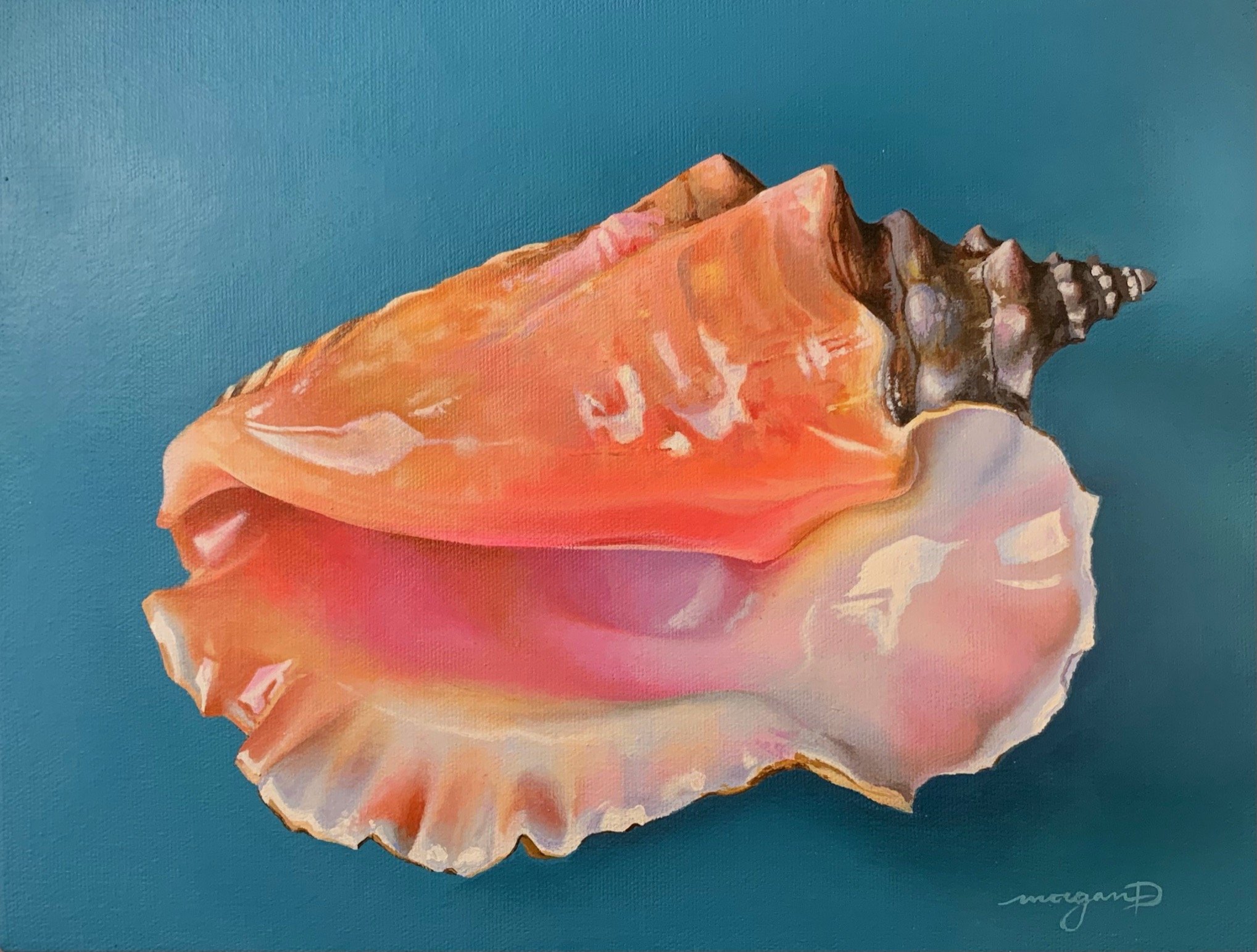 Conch | 2021