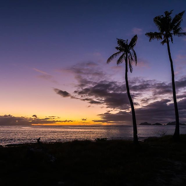 Nothing better than winter holiday break ... no break for a photographer ... a specially at FIJI :) I Love this place.

#fijiholiday #manaisland #pacificislands #magicmana #manamagic #fijilandscape #fijiphotography #fijiweddingphotography