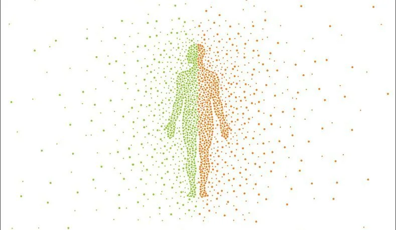 Adolescence; or, Dude, Where's My Frontal Cortex?