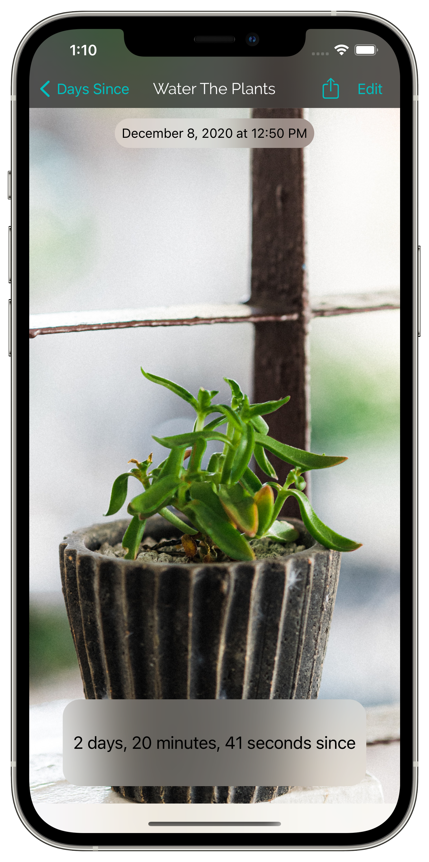iPhone 12 Pro Max - Plants.png
