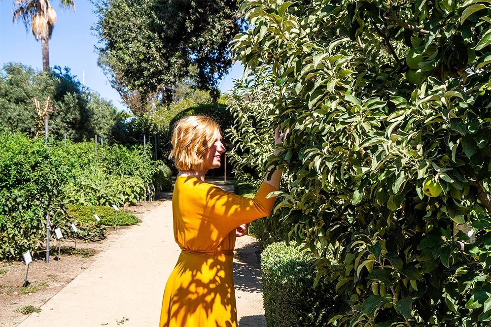 Napa Valley Olive Oil & Wine Tasting