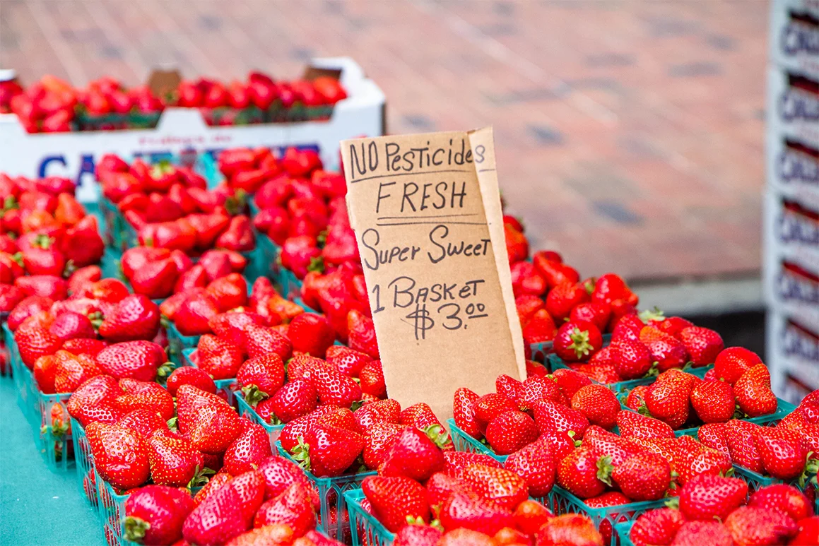 Farmer’s Market in Oakland, CA