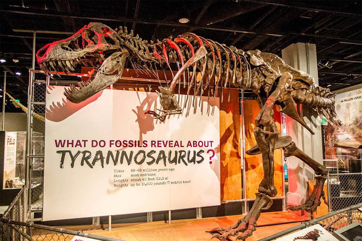 Washington DC Tourist Attractions