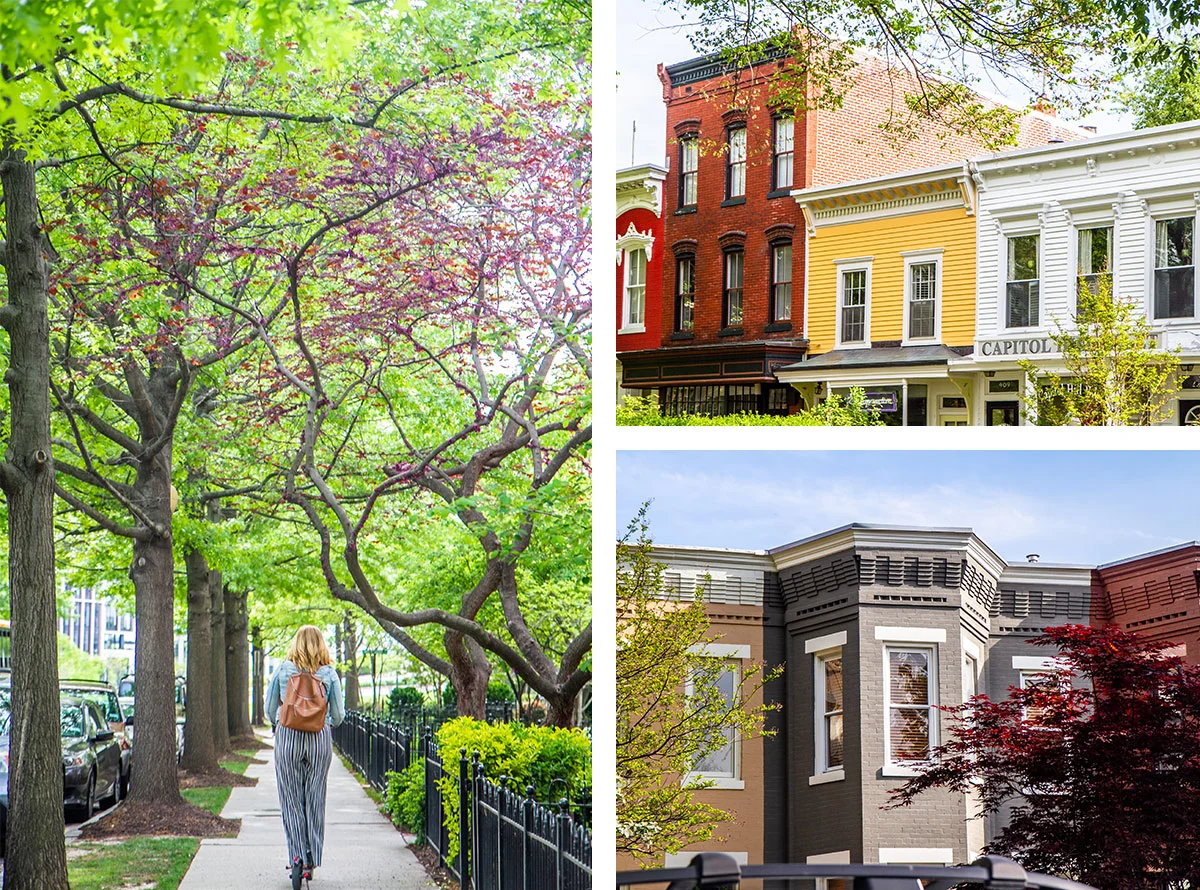Washington DC Tourist Attractions