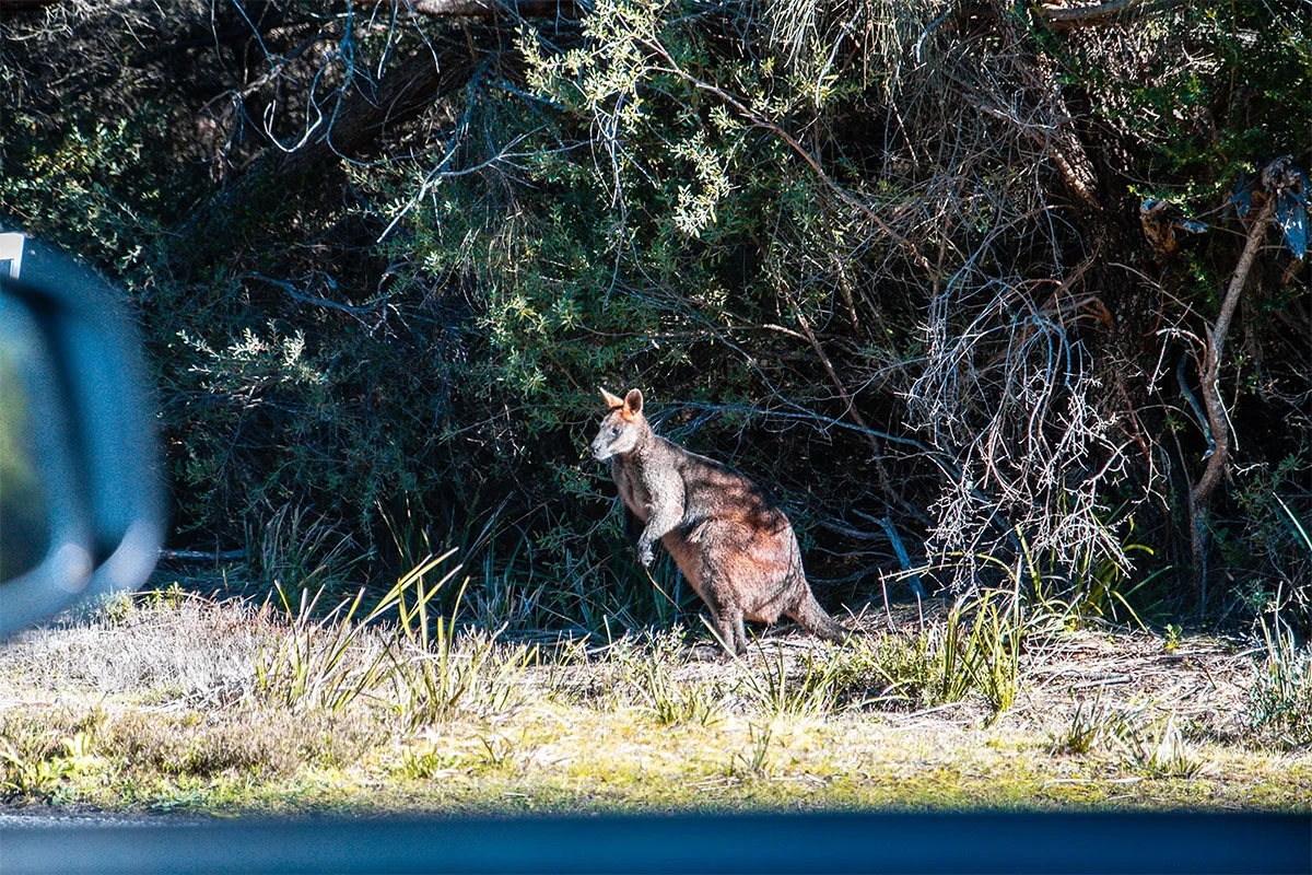 Wilsons Promontory National Park, Melbourne, Victoria, Australia