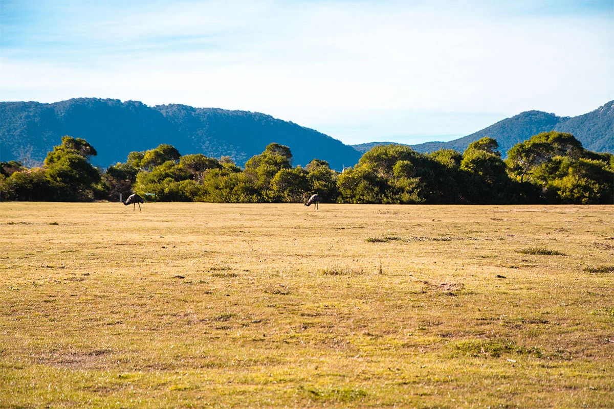 Wilsons Promontory National Park, Melbourne, Victoria, Australia