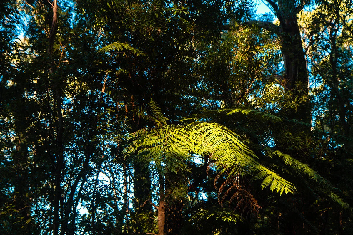 Wilsons Promontory National Park, Melbourne, Victoria, Australia