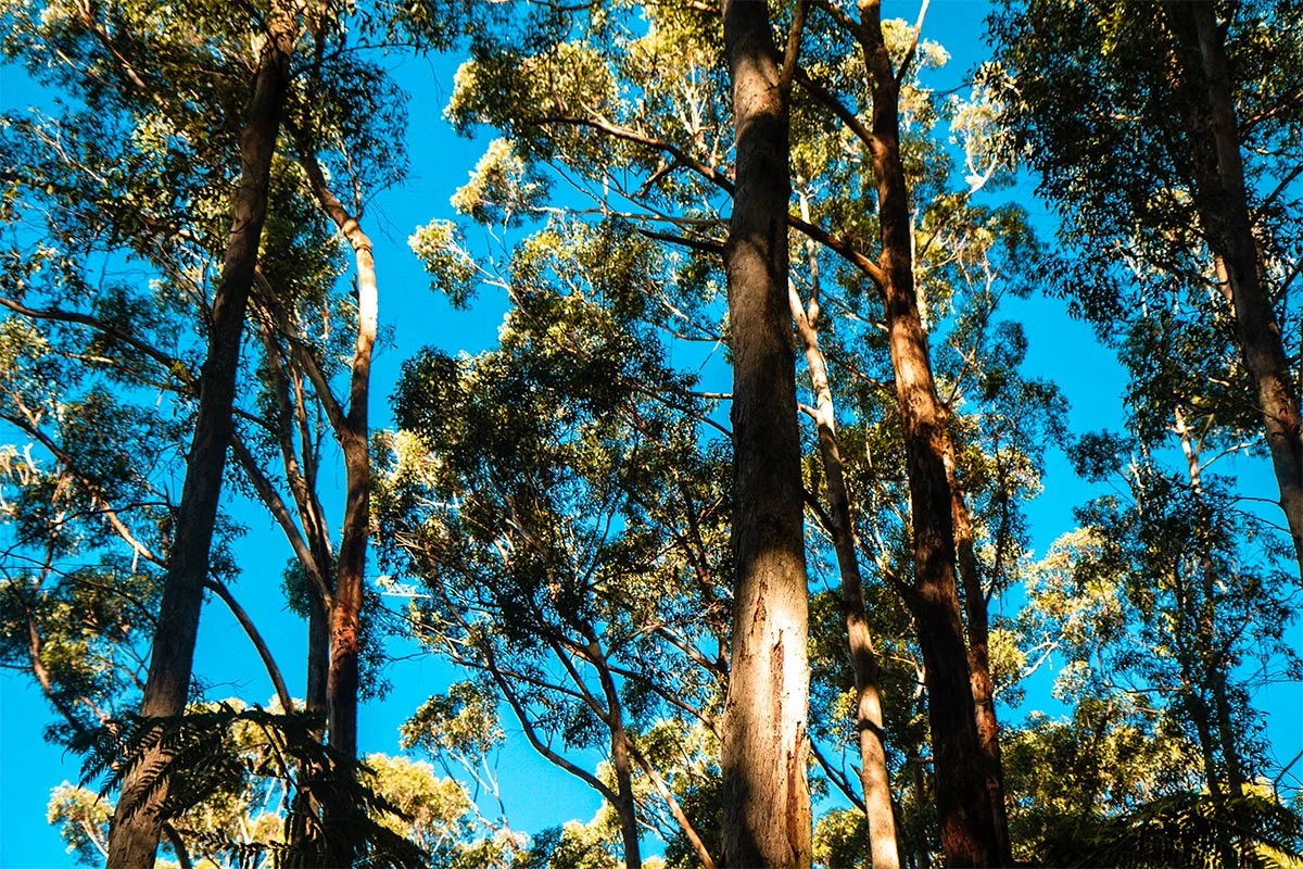 Wilsons Promontory National Park, Melbourne, Victoria, Australia