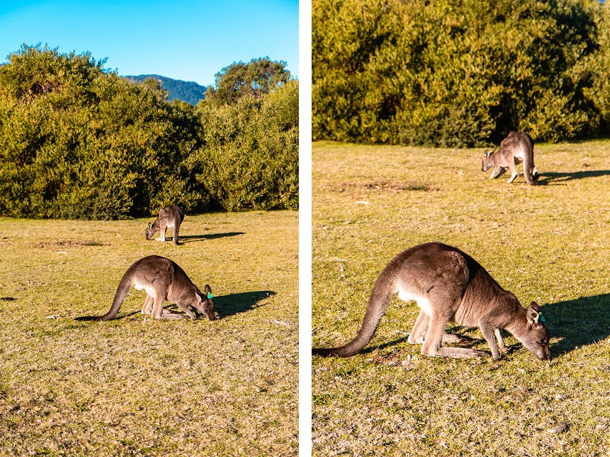 Wilsons Promontory National Park, Melbourne, Victoria, Australia