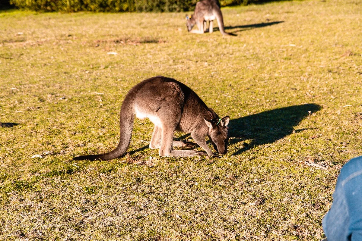 Wilsons Promontory National Park, Melbourne, Victoria, Australia