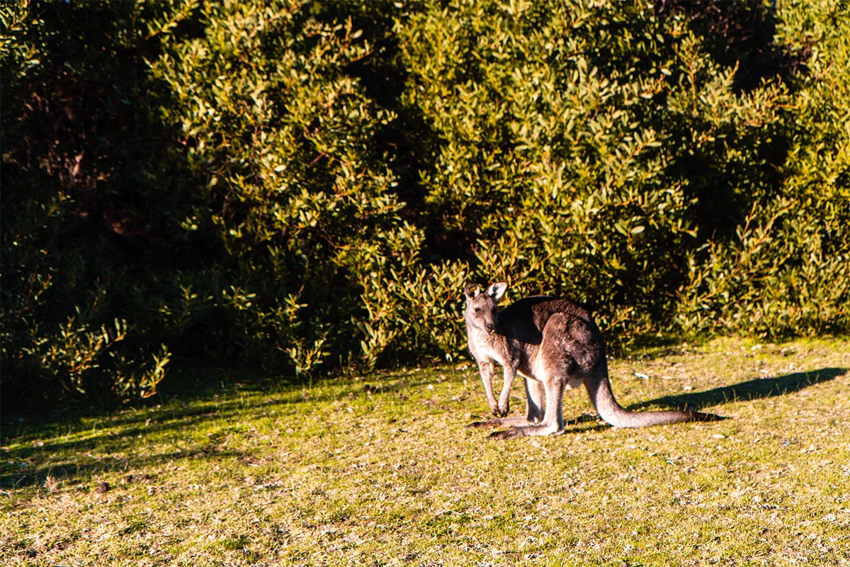 Wilsons Promontory National Park, Melbourne, Victoria, Australia